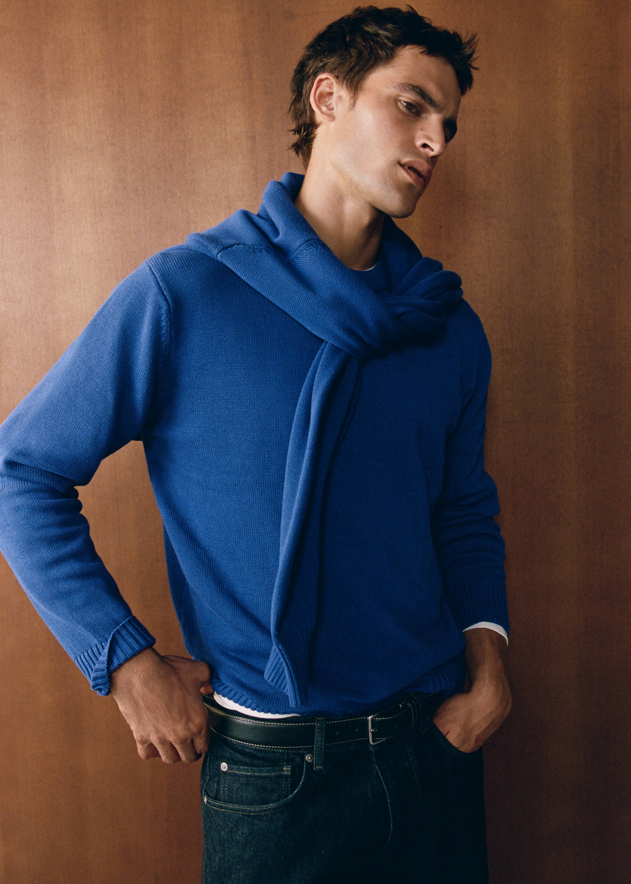 100% cotton mid-weight knit jumper - Details of the article 5