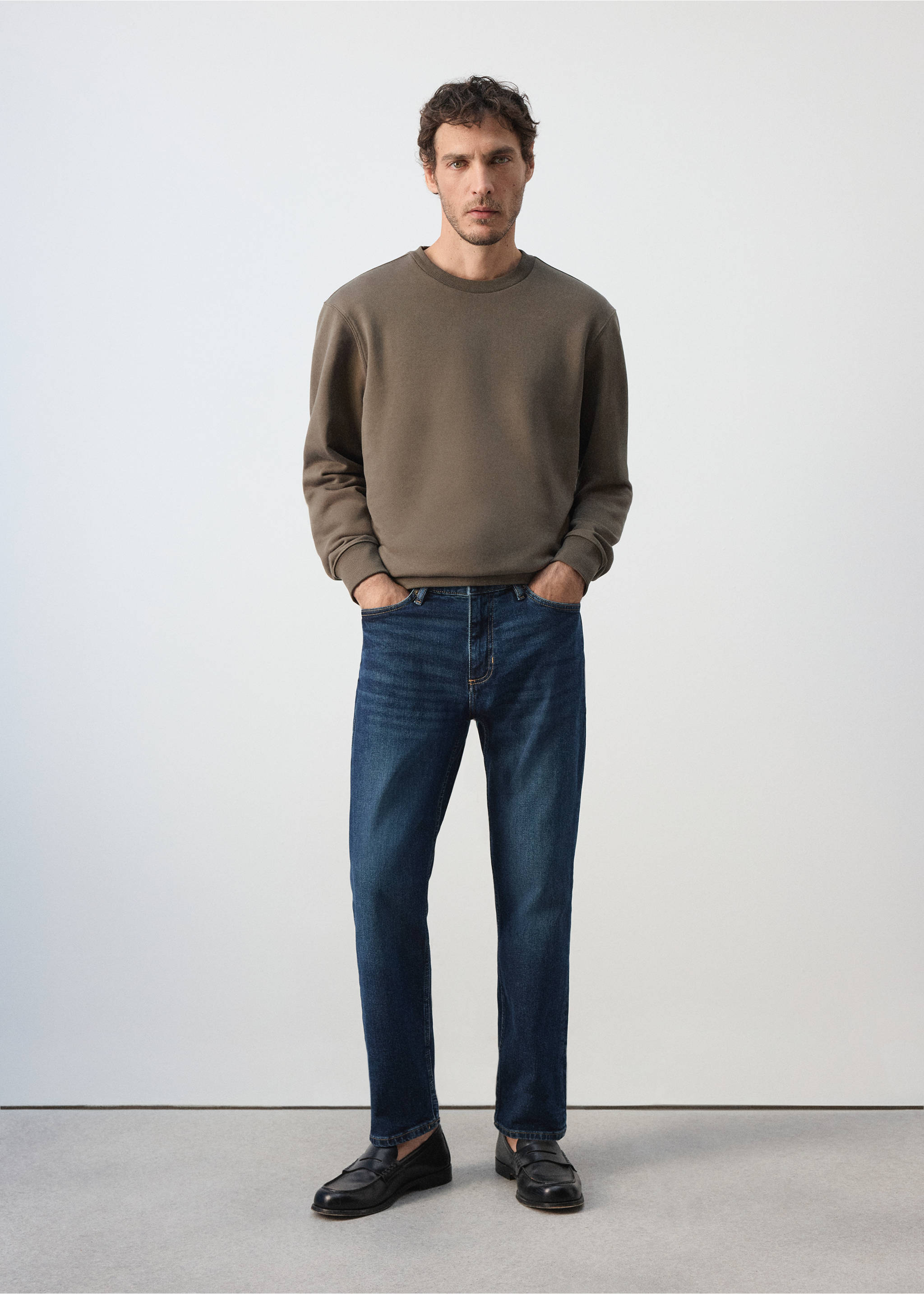 Relaxed-fit cotton sweatshirt - General plane, Mink Grey. Ref: 37094434-00.