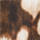 Colour Brown selected