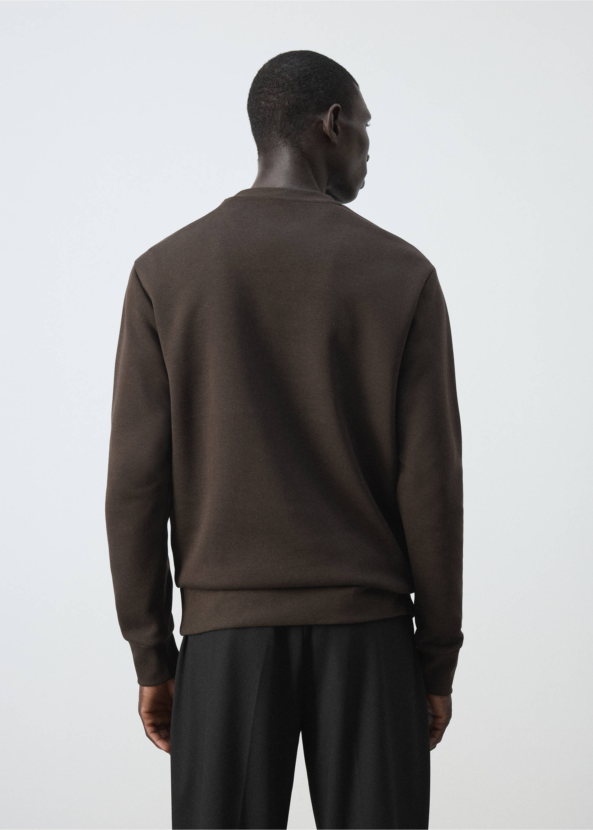Sweatshirt aus 100 % Baumwolle, Regular Fit - Rückseite des Artikels, Braun. Ref: 37095983-00.