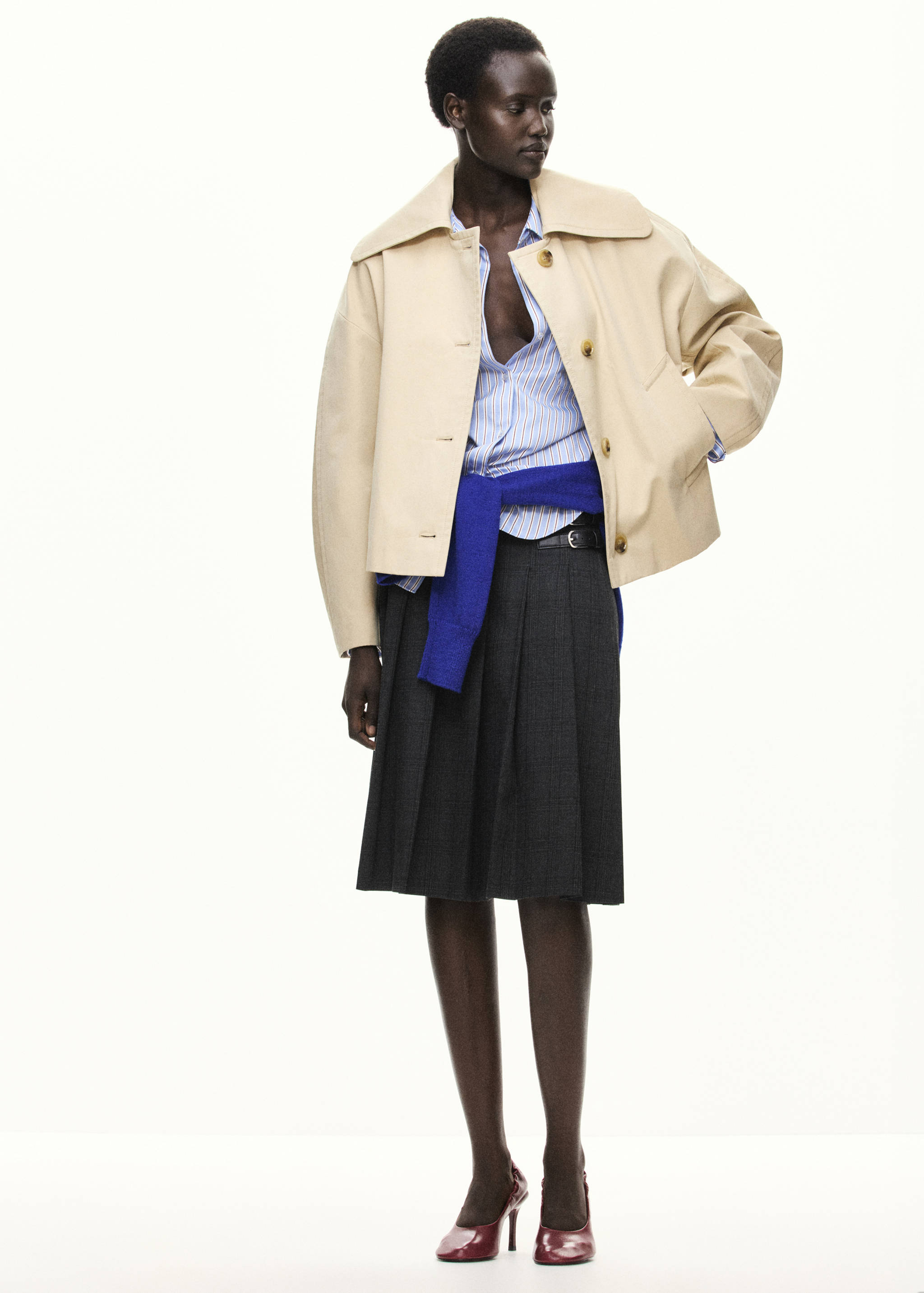 Pleated check skirt - General plane