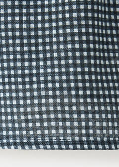 Check cotton shirt — Petrol Blue 5