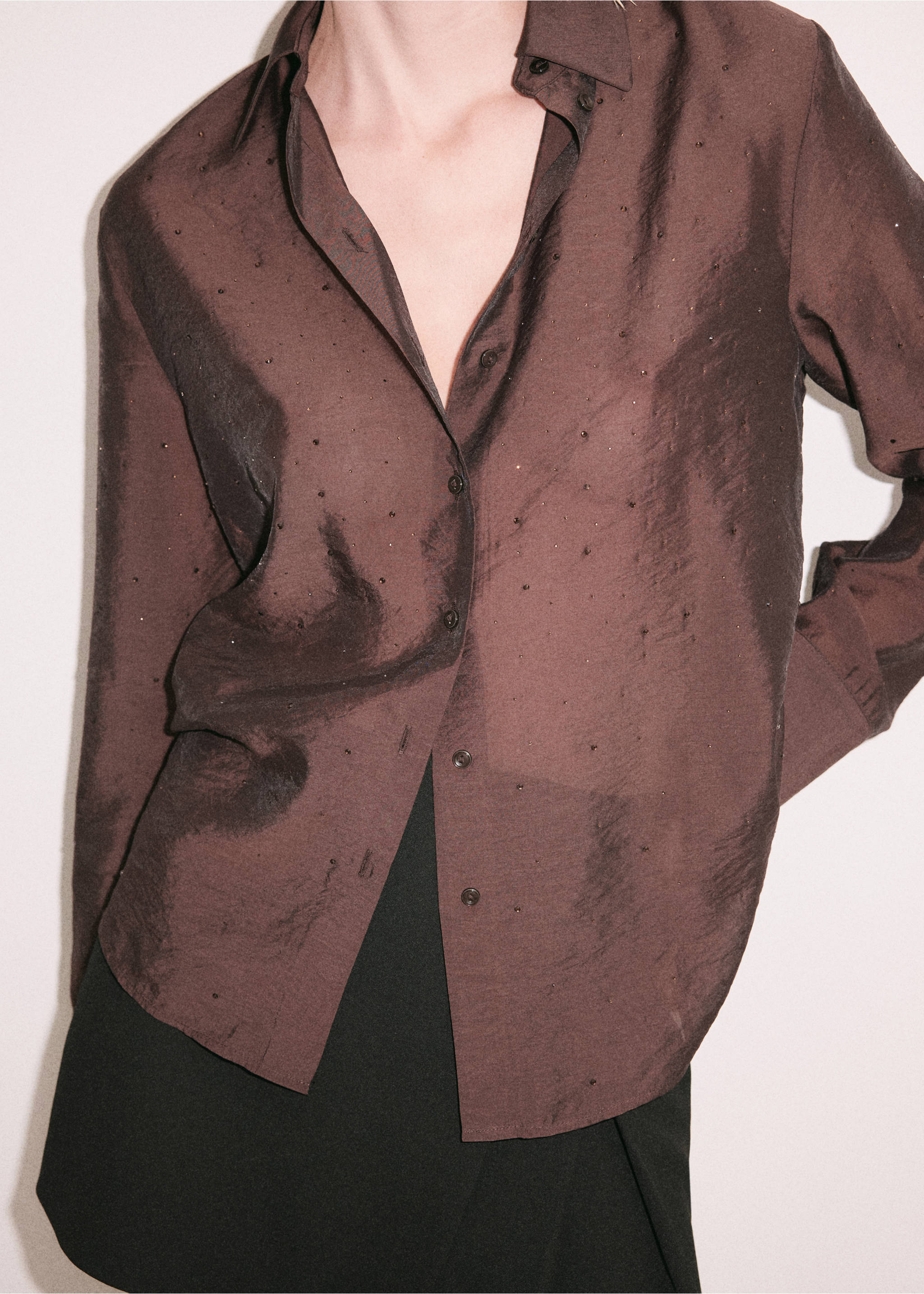 Brown long-sleeve button-up shirt with subtle embellishments., Brown. Ref: 37099118-00.