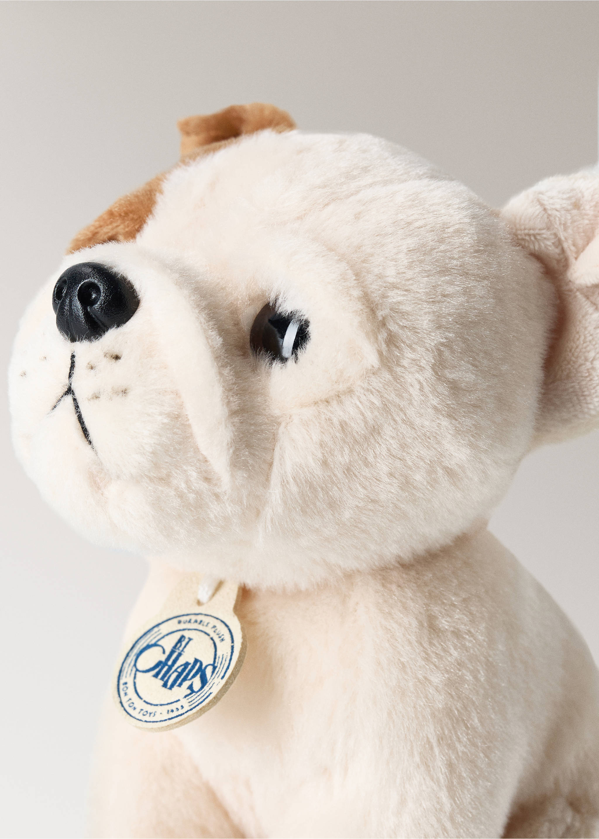 Bertha stuffed dog - Details of the article 2, Ecru. Ref: 37127937-00.