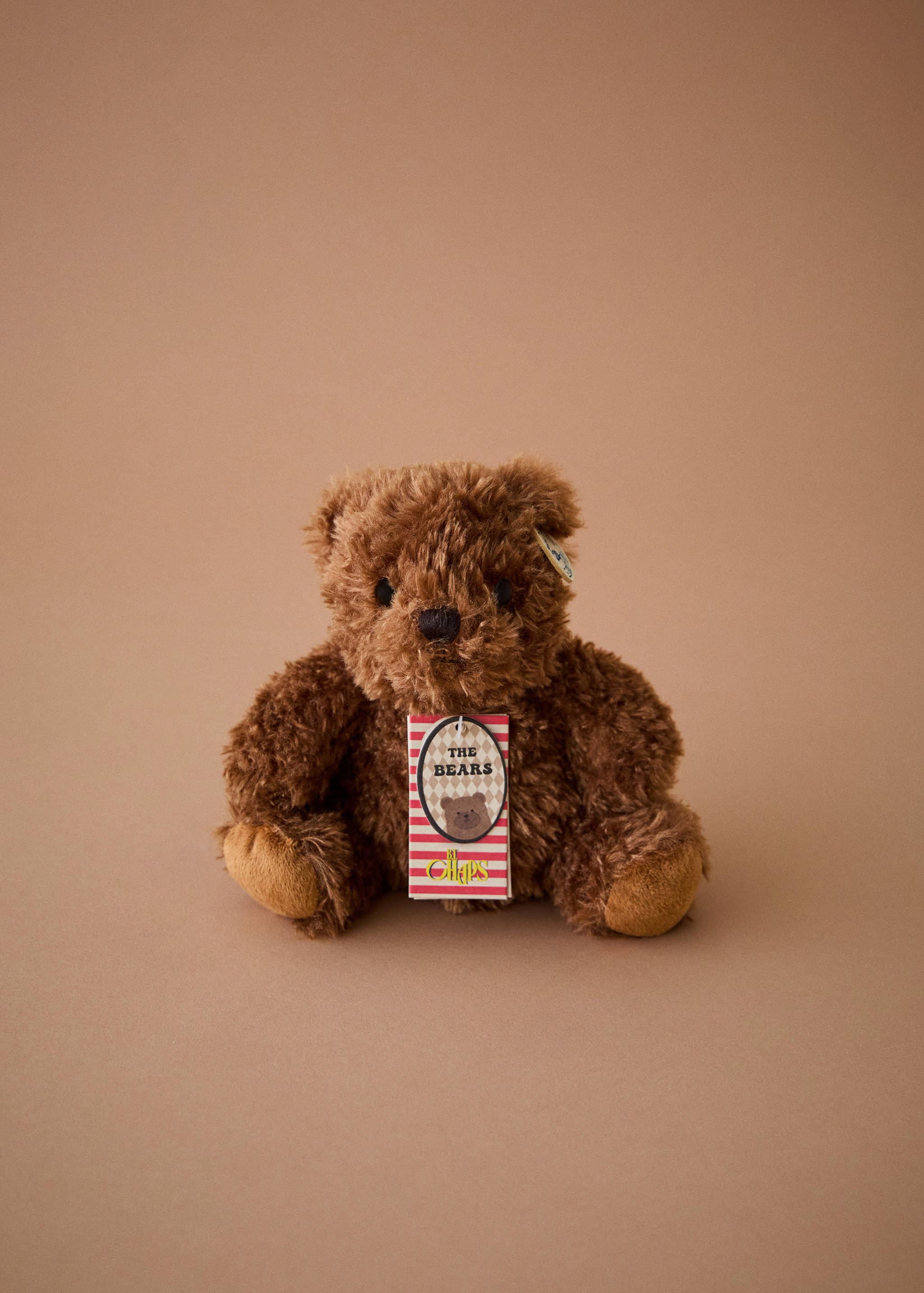 Edith little teddy bear - General plane