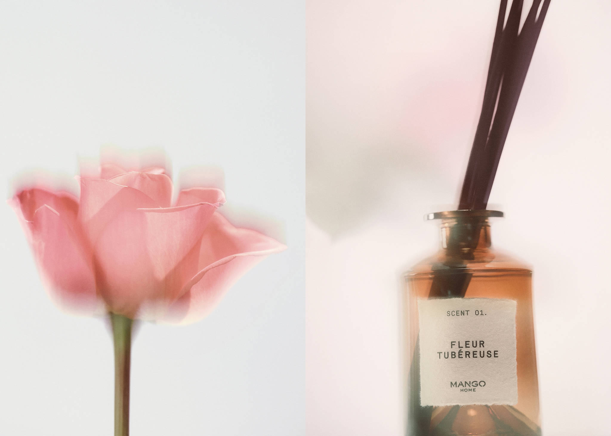 FLEUR TUBÉROSE mikado diffuser 200 ml - Panoramic plane
