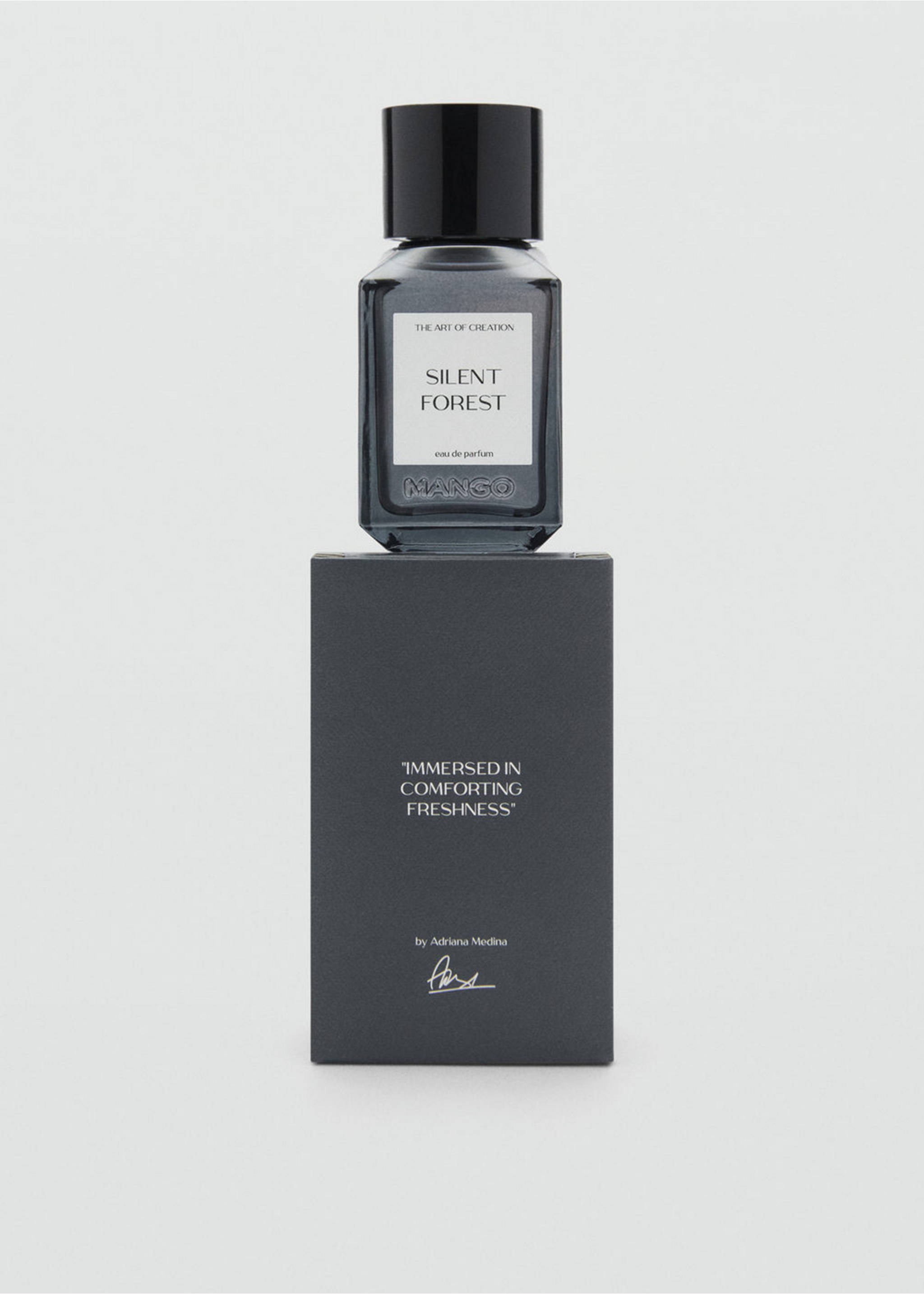 Silent Forest eau de parfum bottle on its dark grey packaging box., Mink Grey. Ref: 47001446-00.