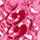 Color Fuchsia selected