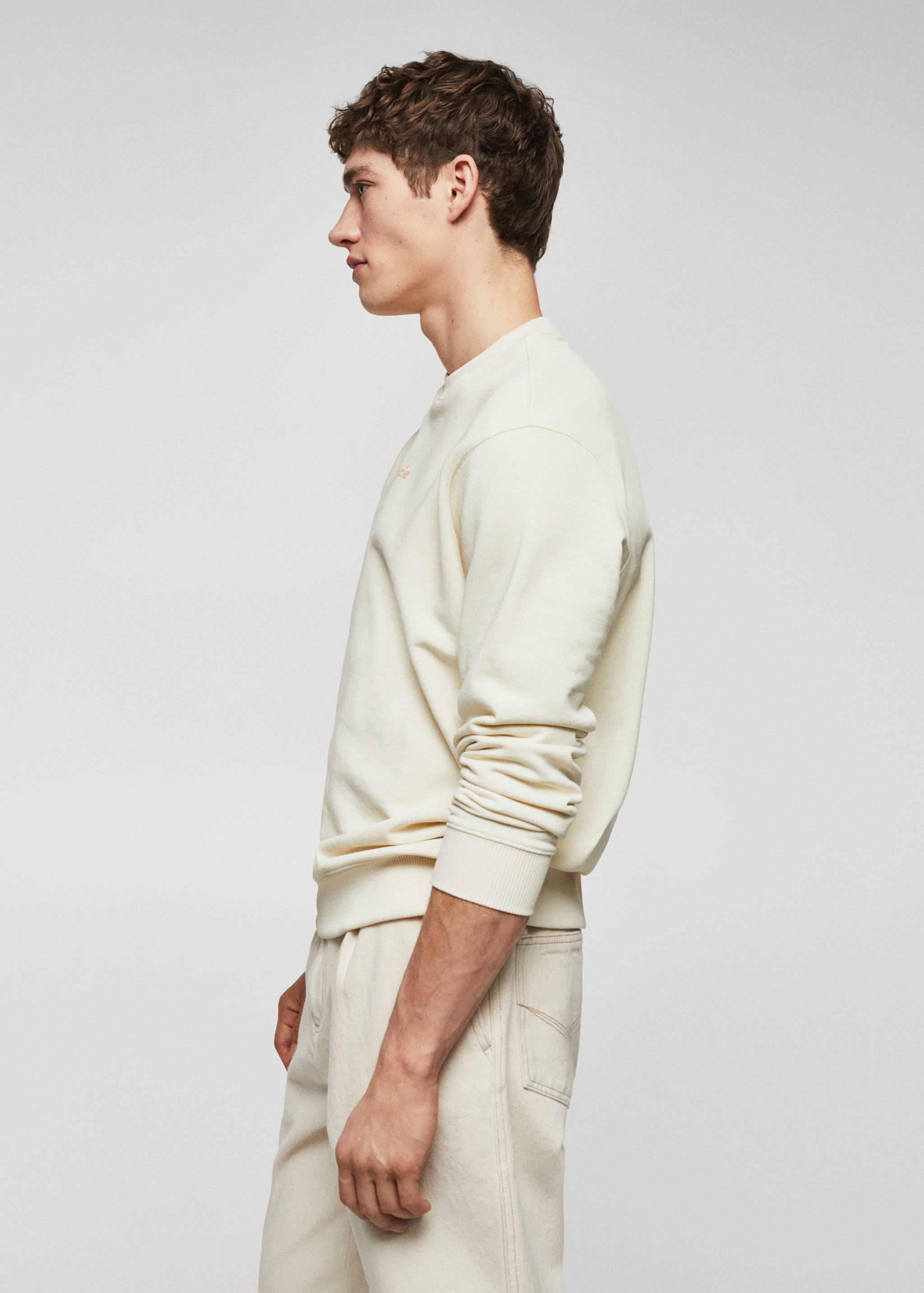 Sweat-shirt 100 % coton texte - Détail de l'article 2