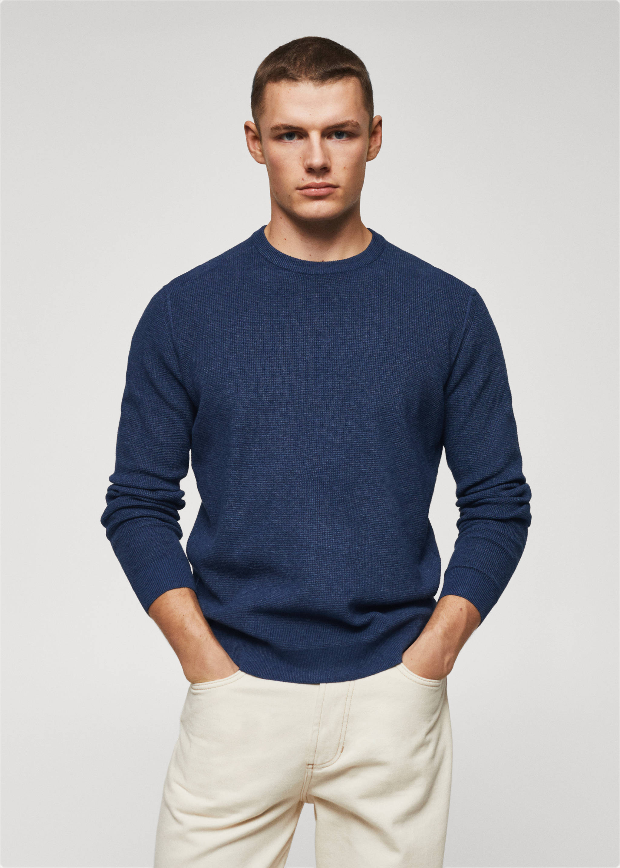 Structured cotton sweater - Medium plane