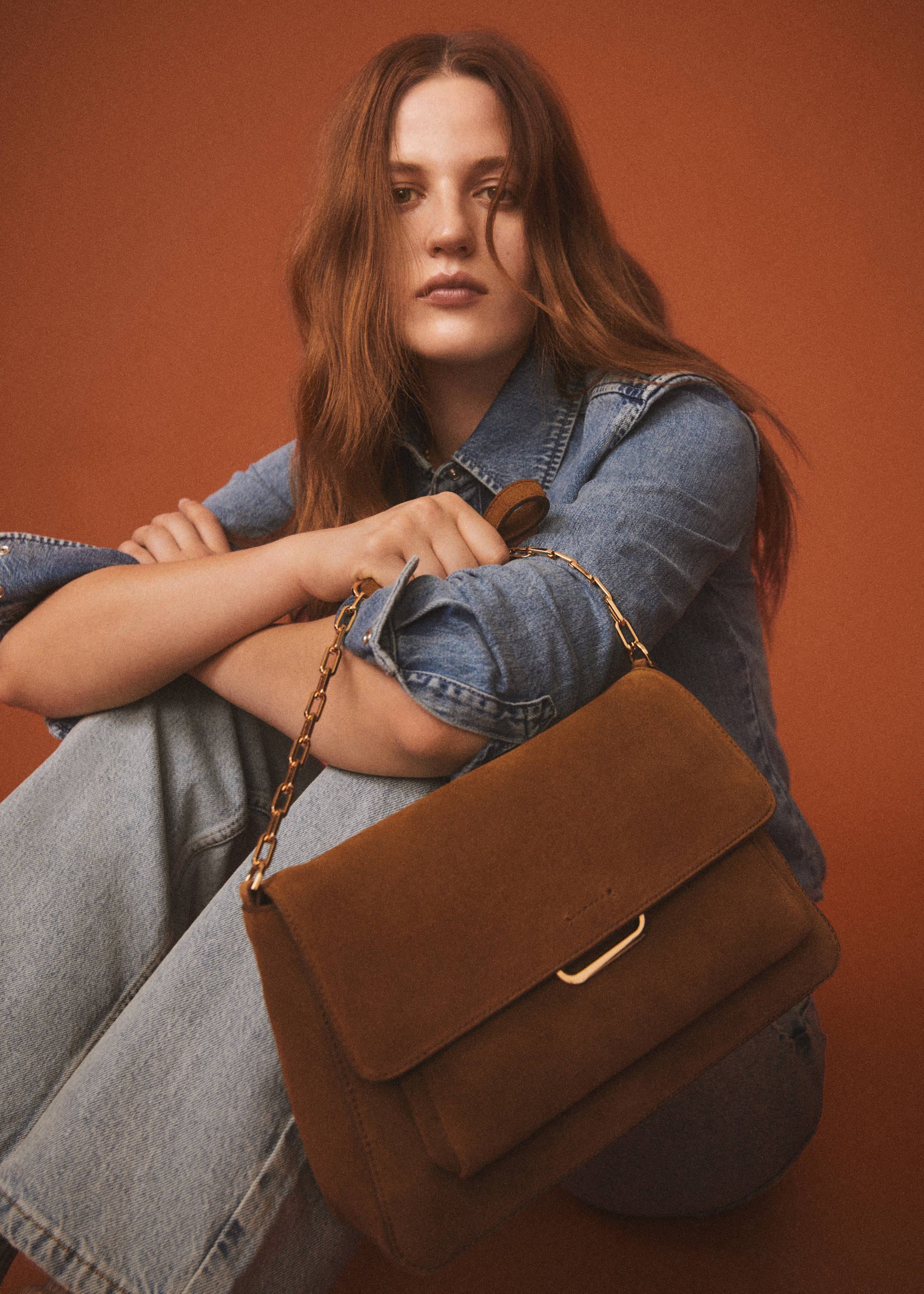 Flap leather bag - General plane