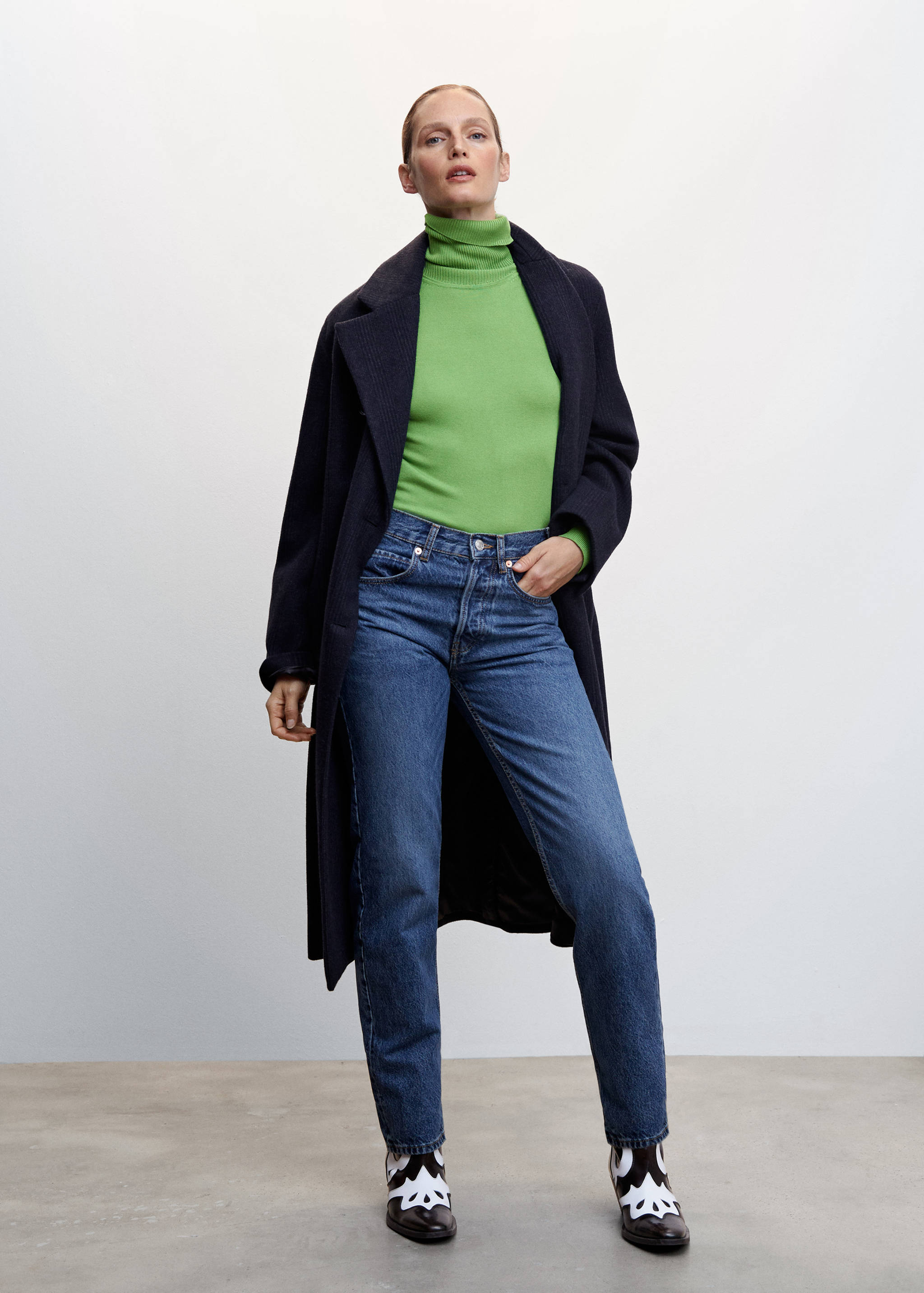 Fine-knit turtleneck sweater - General plane