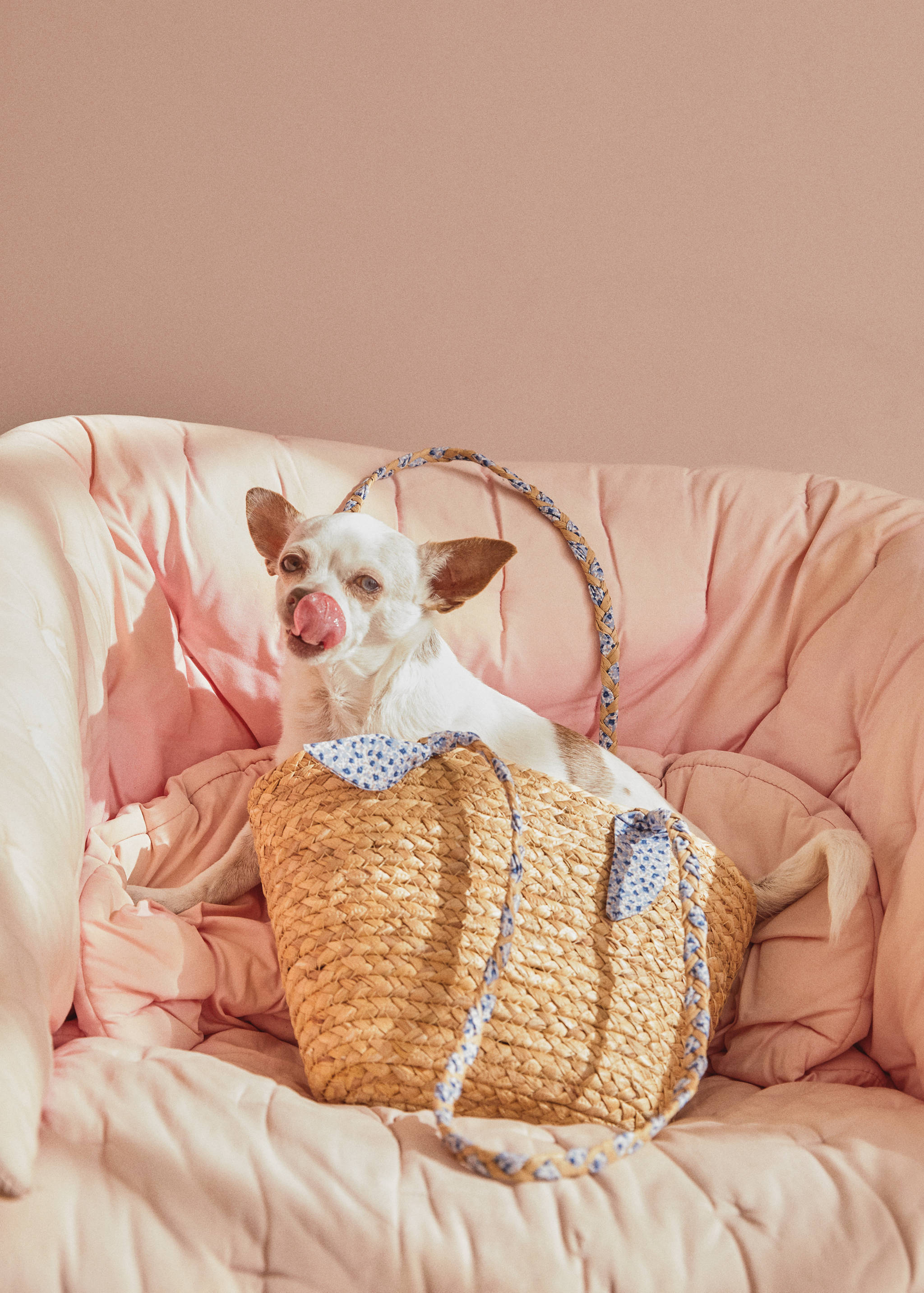 Соломенная сумка-торба - Общий план