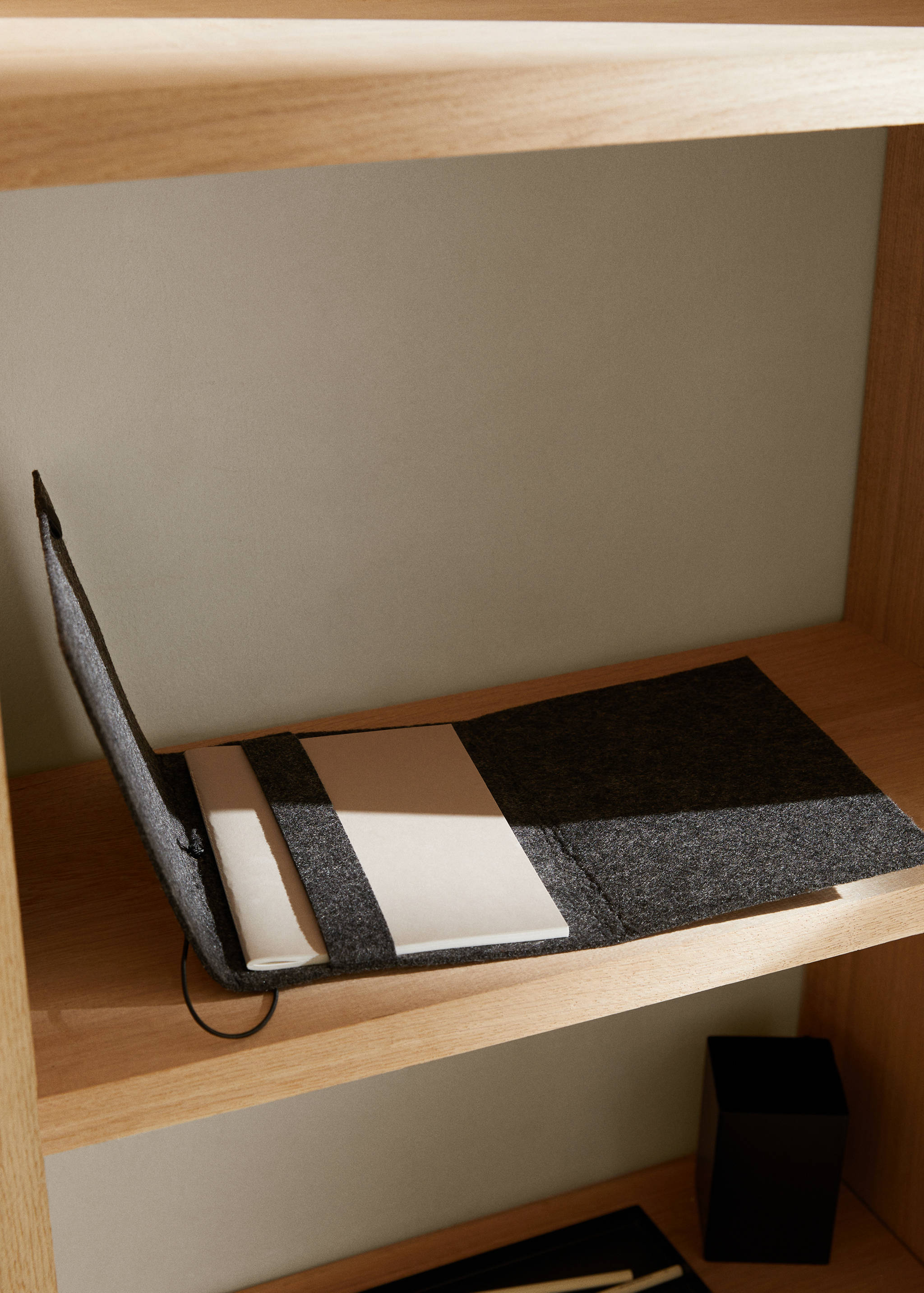 Felt document case - General plane