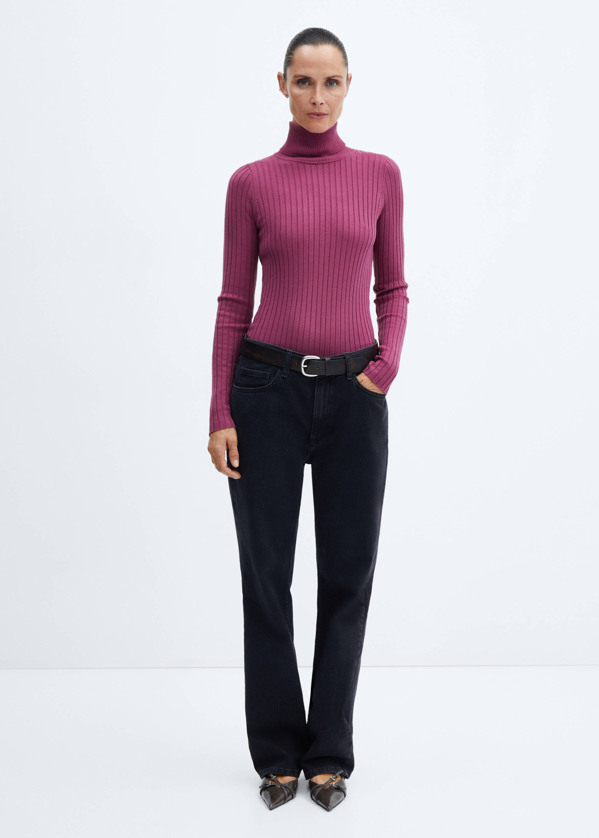 Turtleneck ribbed sweater - General plane