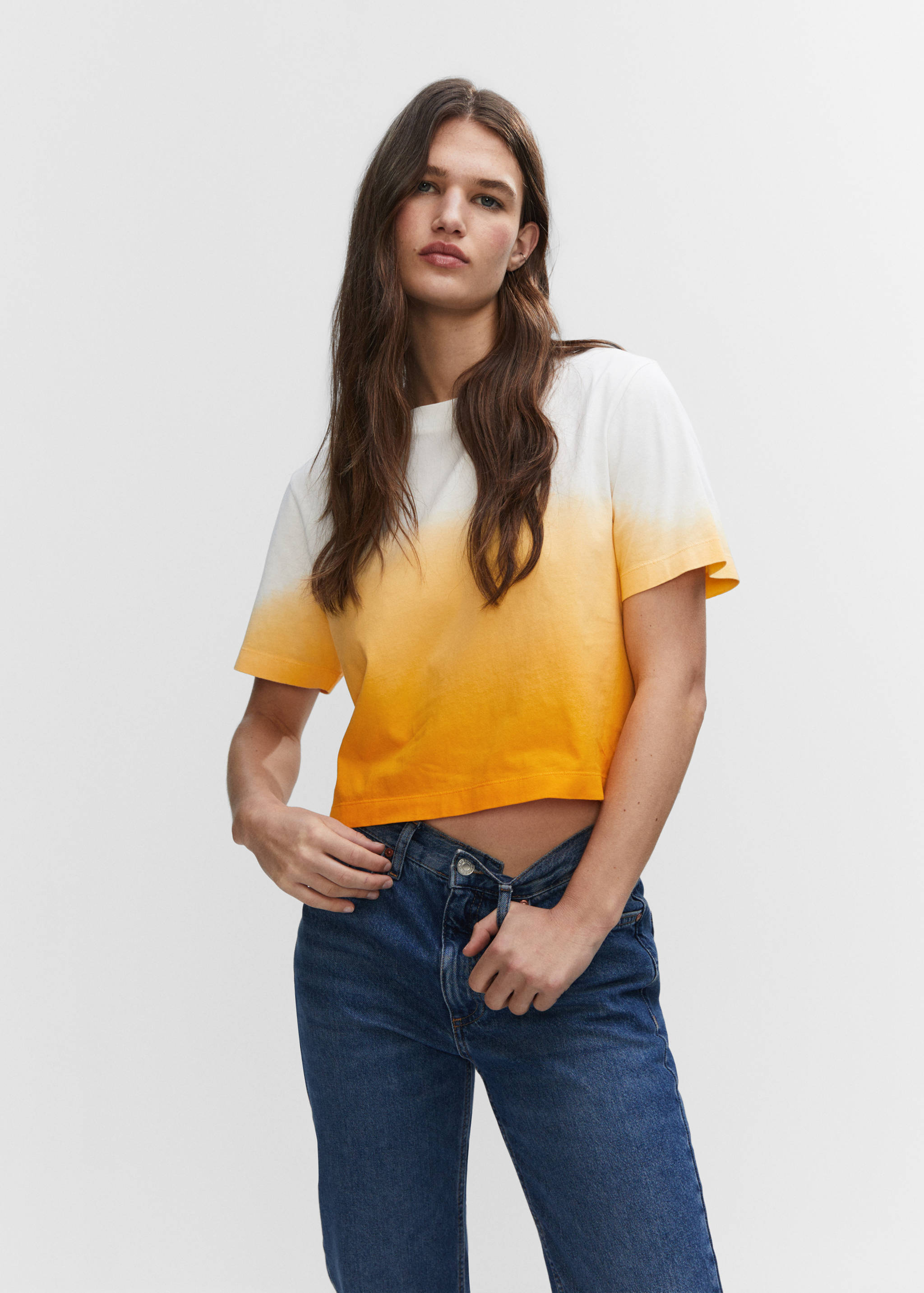 Cotton ombré t-shirt - Medium plane