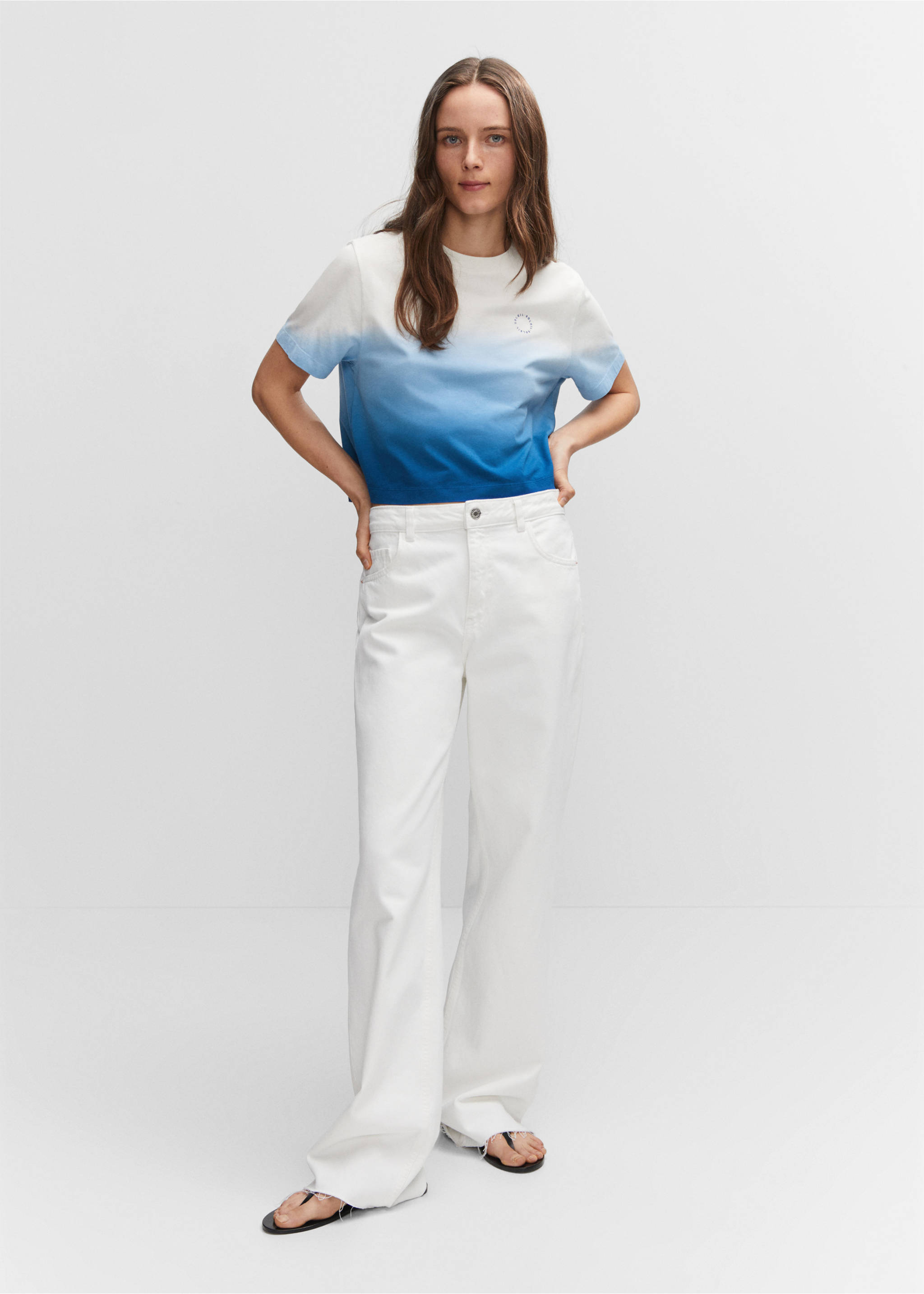 Cotton ombré t-shirt - General plane, Blue. Ref: 57010643-00.
