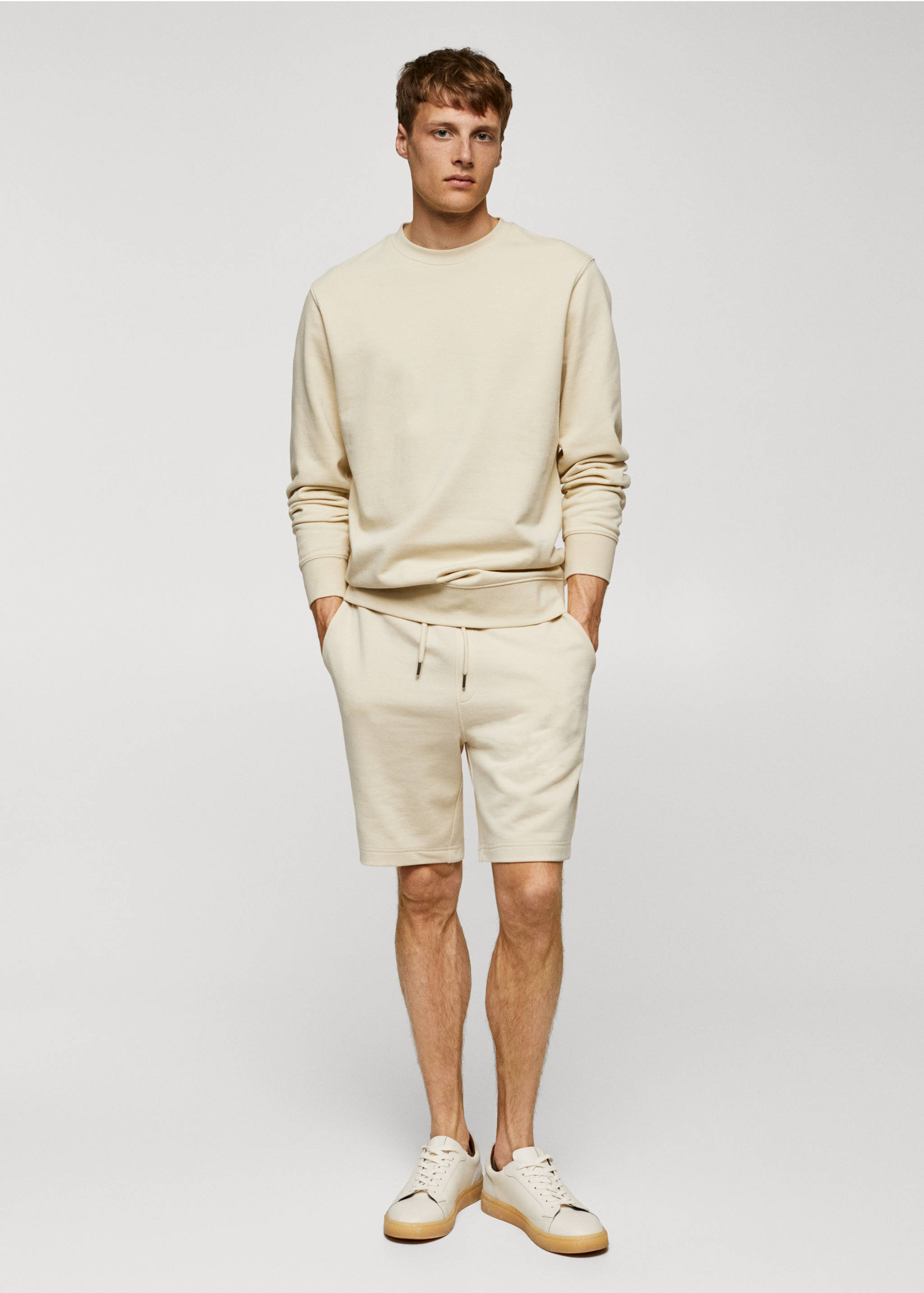 100% cotton basic sweatshirt - General plane