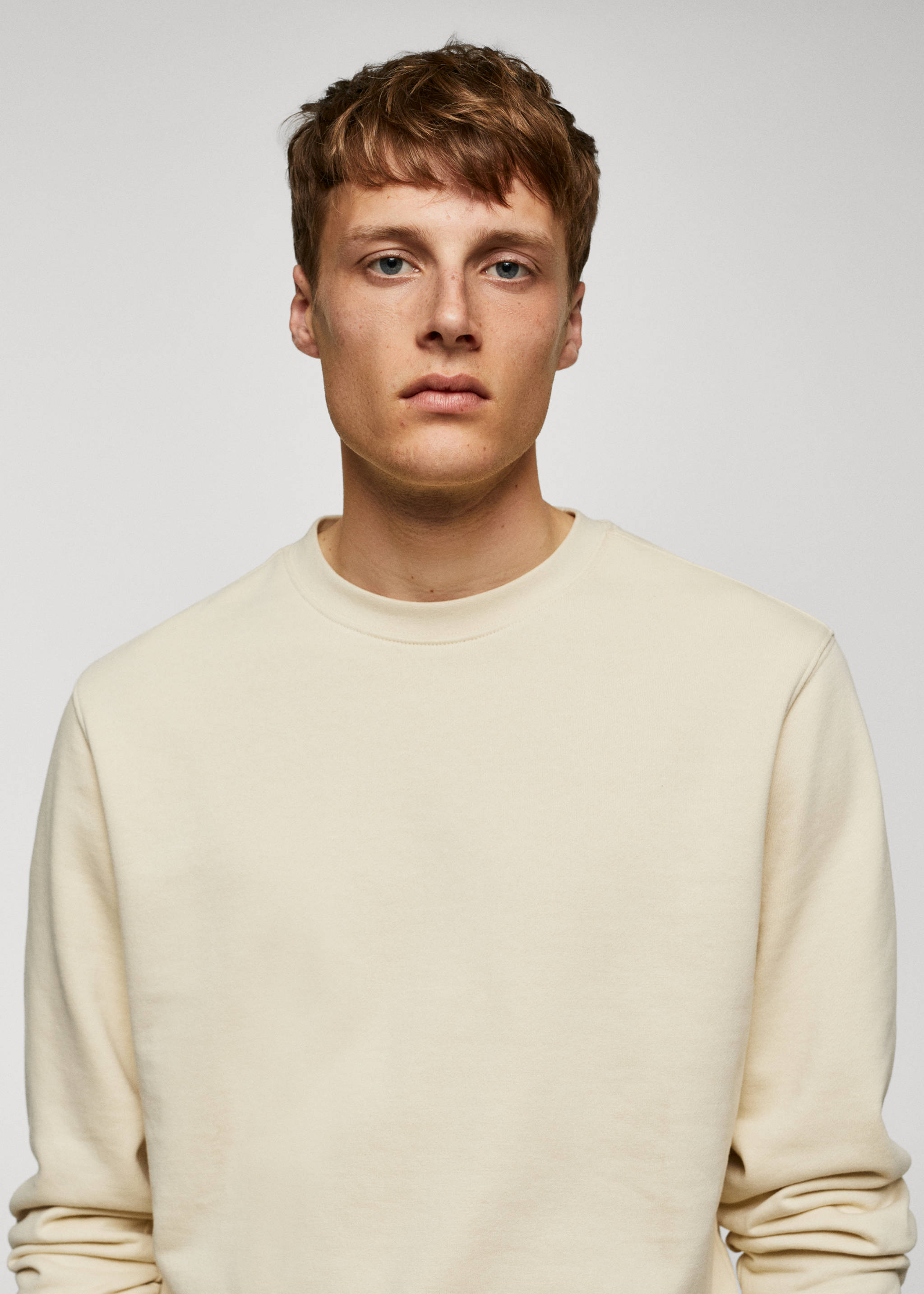 100% cotton basic sweatshirt - Details of the article 1