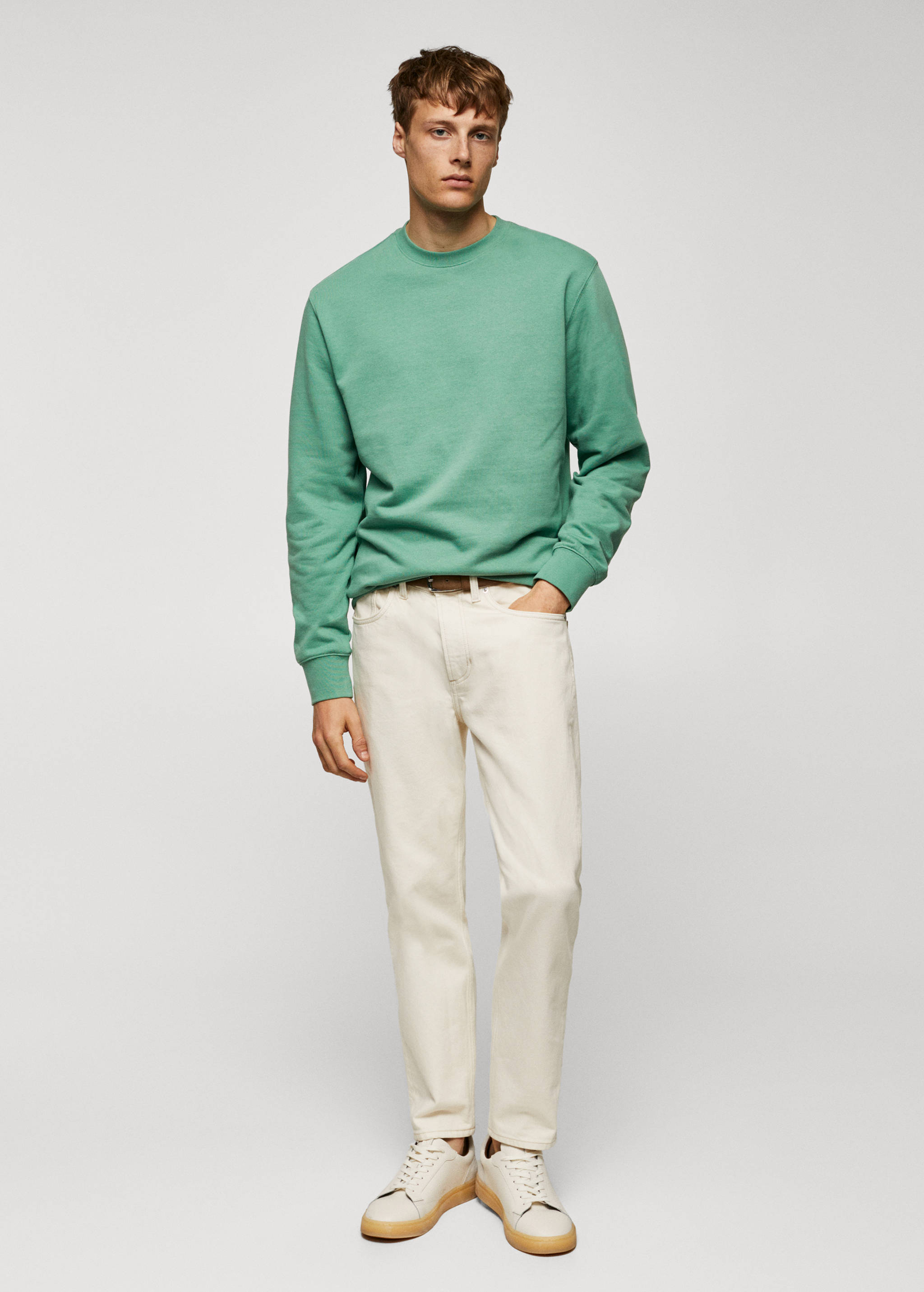 100% cotton basic sweatshirt - General plane