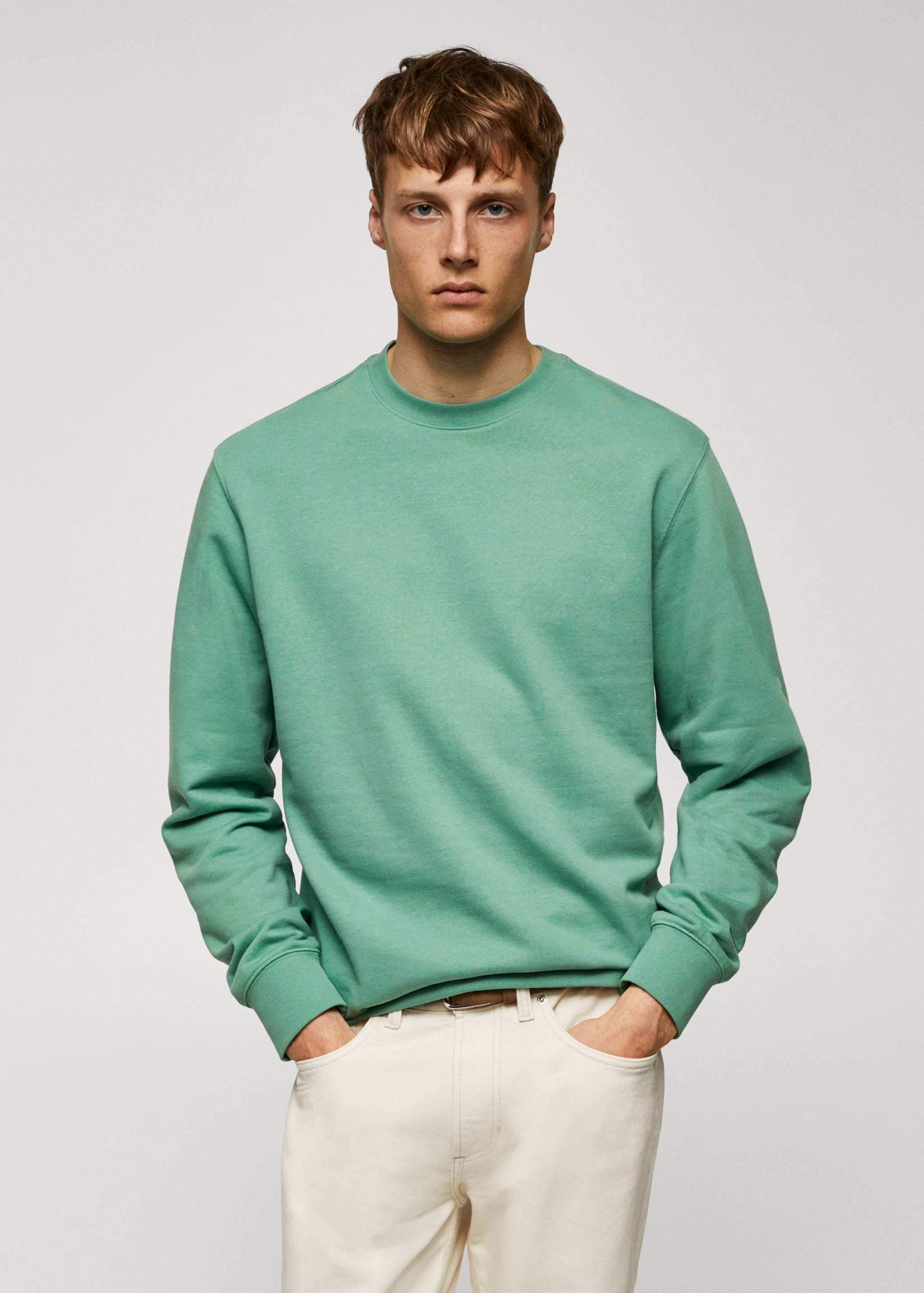100% cotton basic sweatshirt - Medium plane