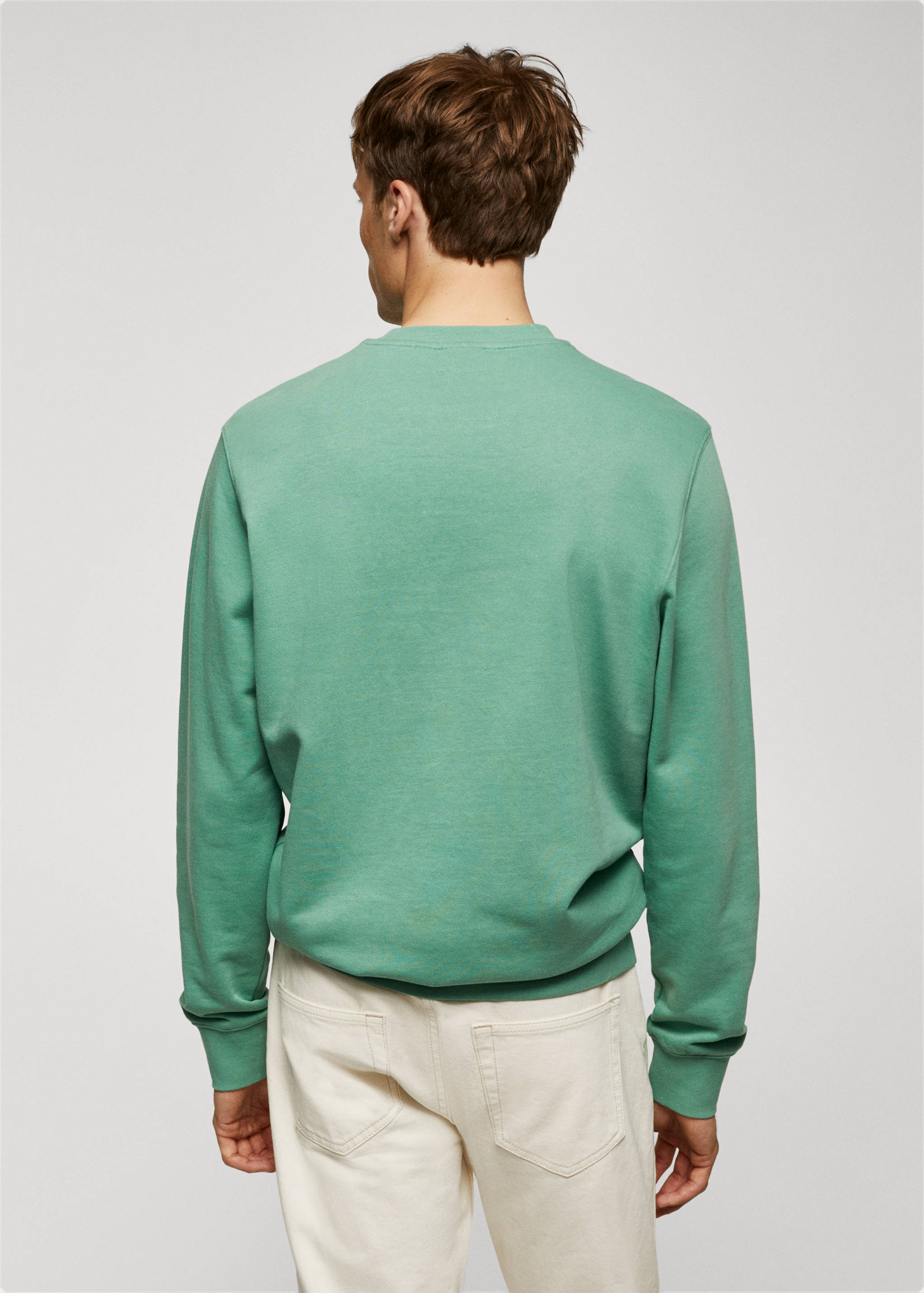 100% cotton basic sweatshirt - Reverse of the article