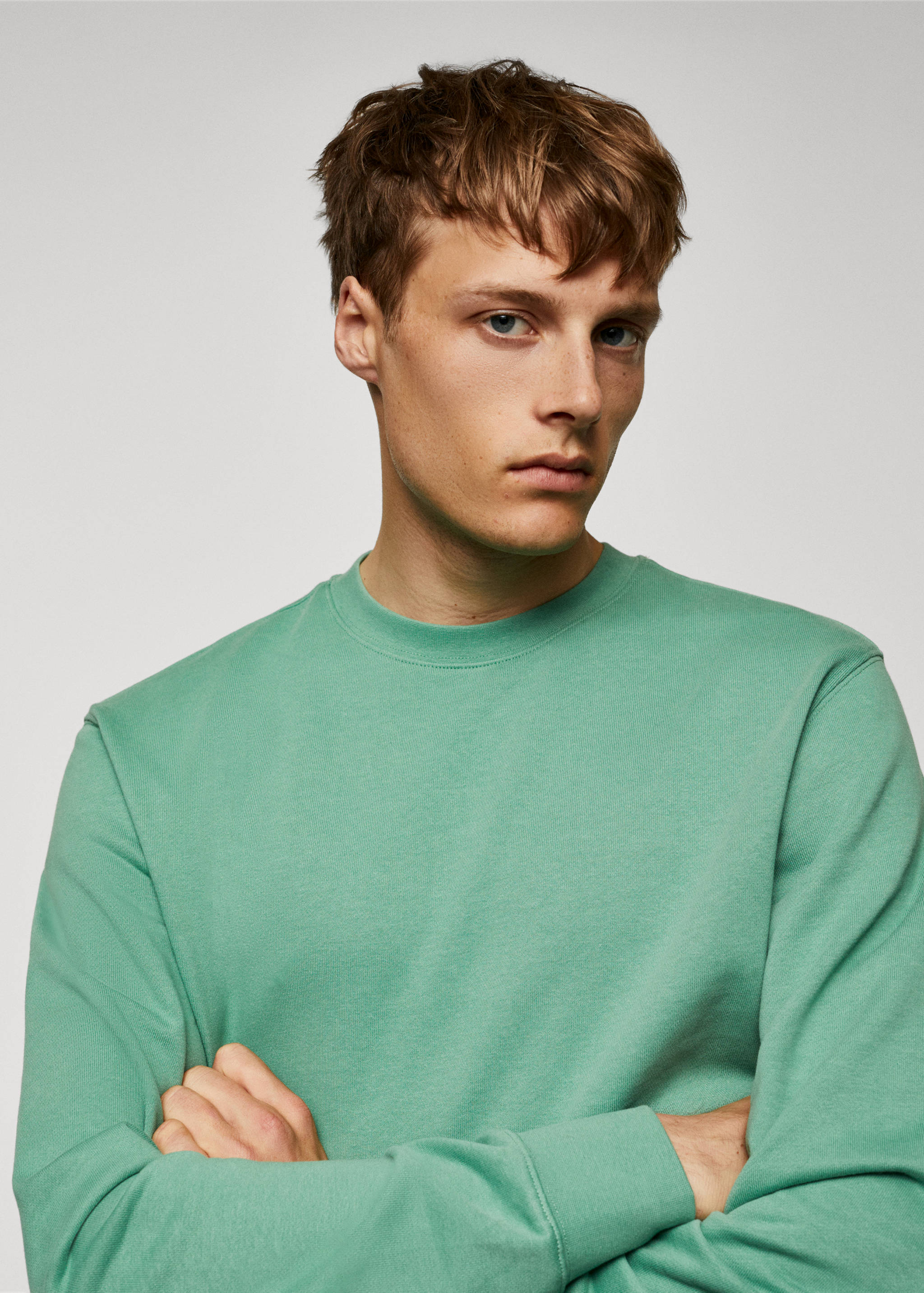 100% cotton basic sweatshirt - Details of the article 1