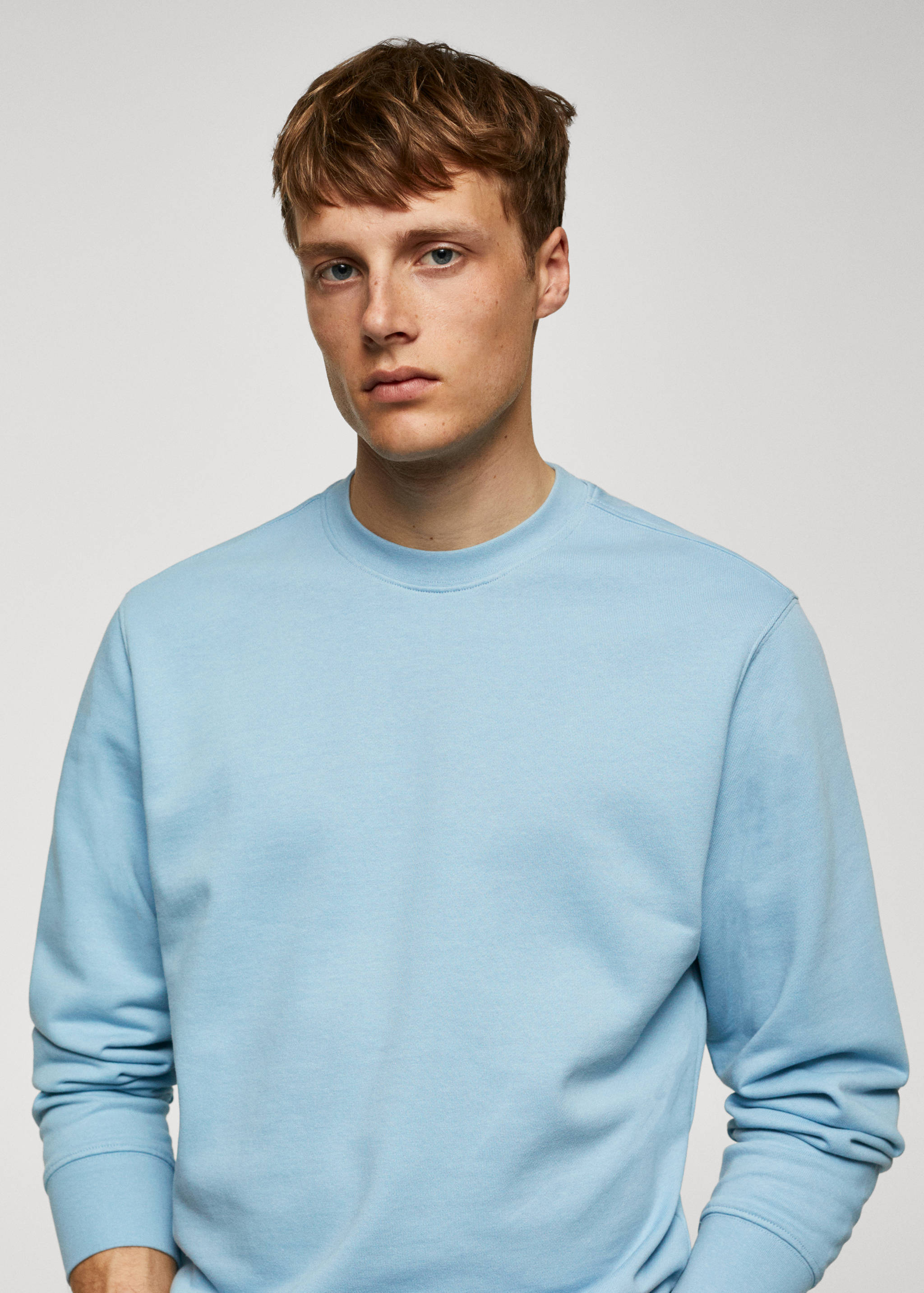 100% cotton basic sweatshirt - Details of the article 1