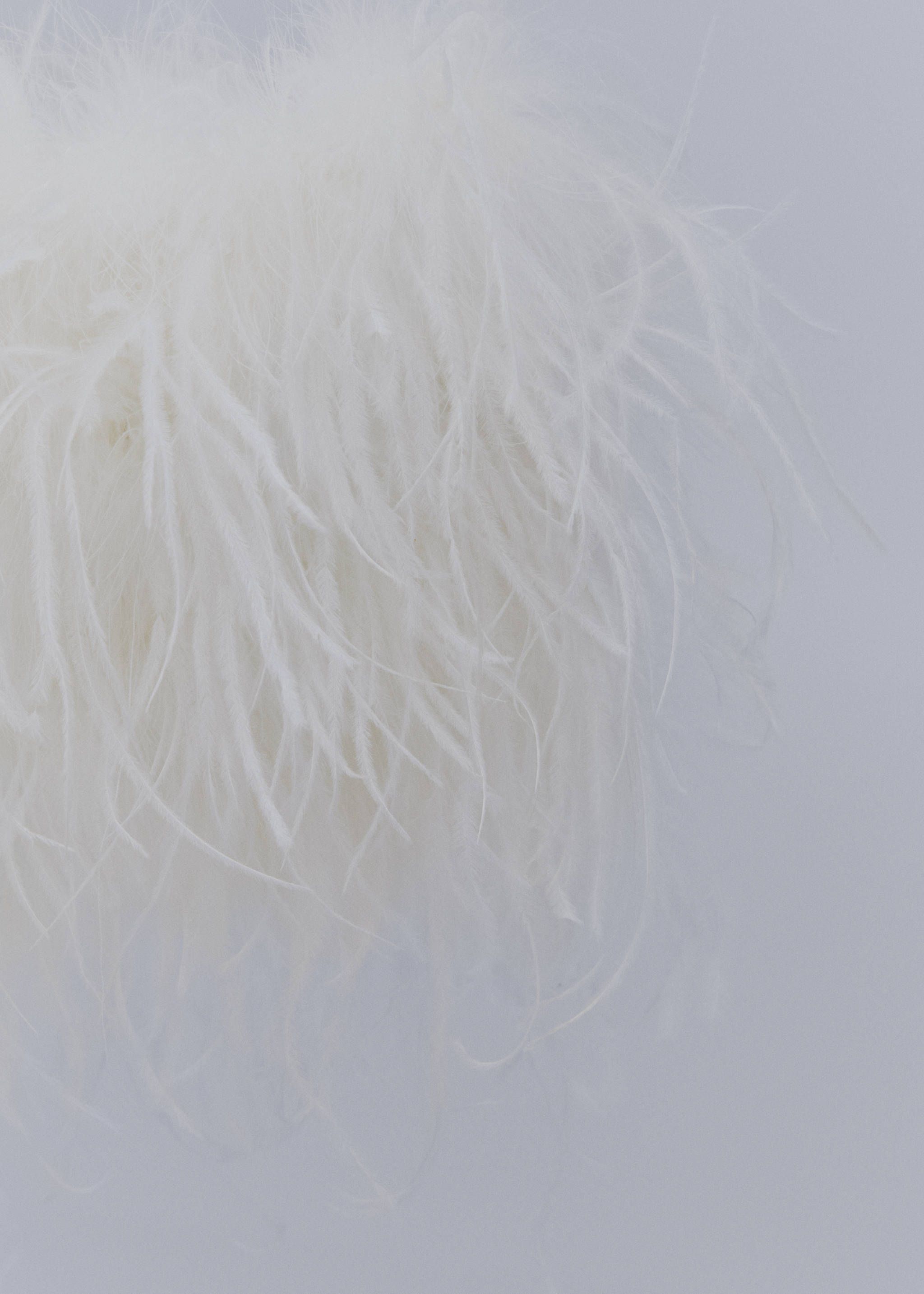 Feather bandeau-style top - Details of the article 8