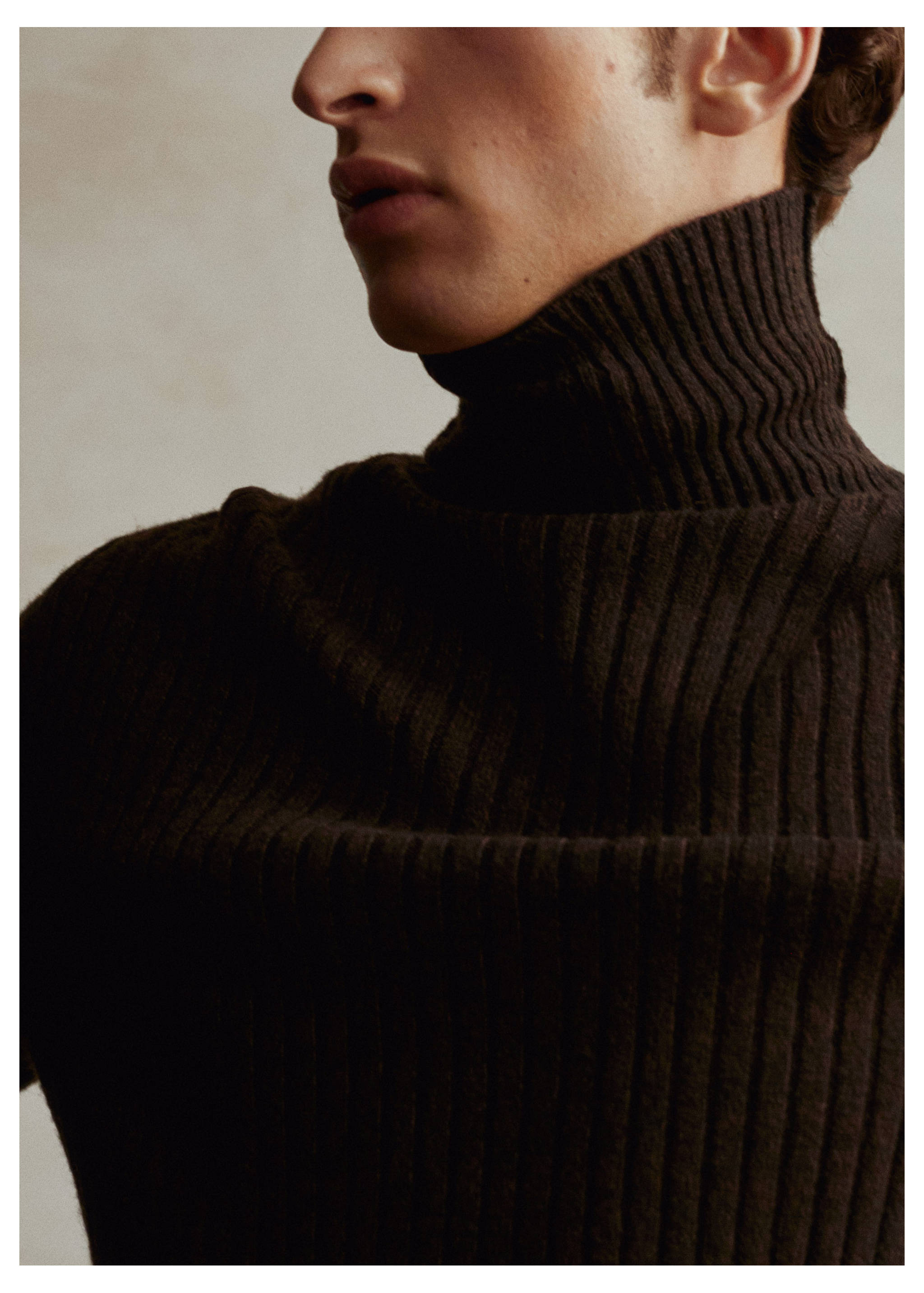 Wool sweater with ribbed turtleneck - Details of the article 5, Brown. Ref: 57027752-00.