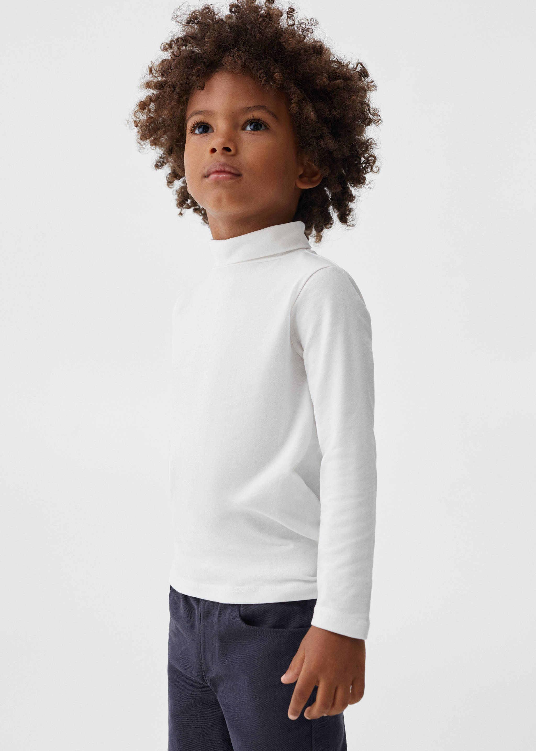 Turtleneck long-sleeved t-shirt - Medium plane