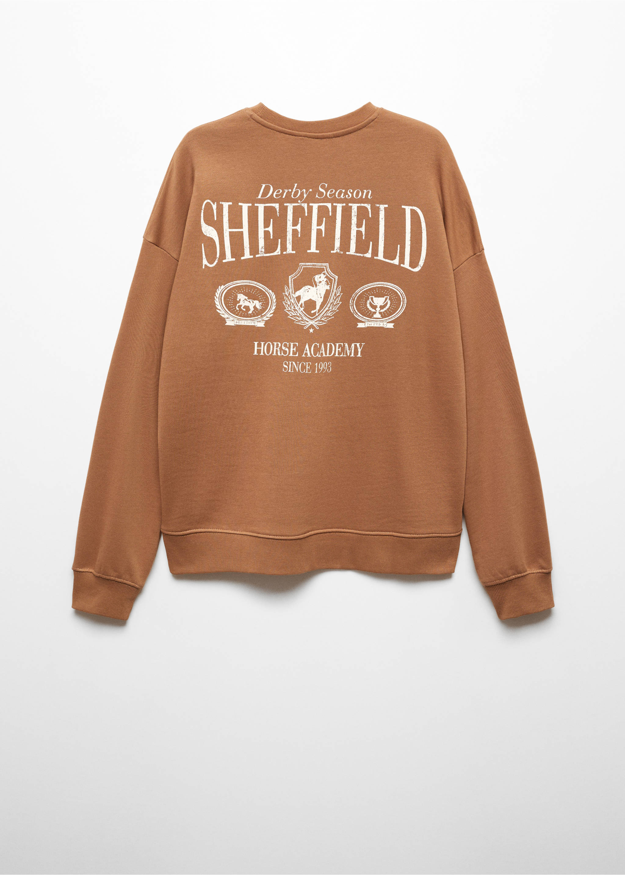 Printed message sweatshirt - Details of the article 8, Russet. Ref: 57037901-00.