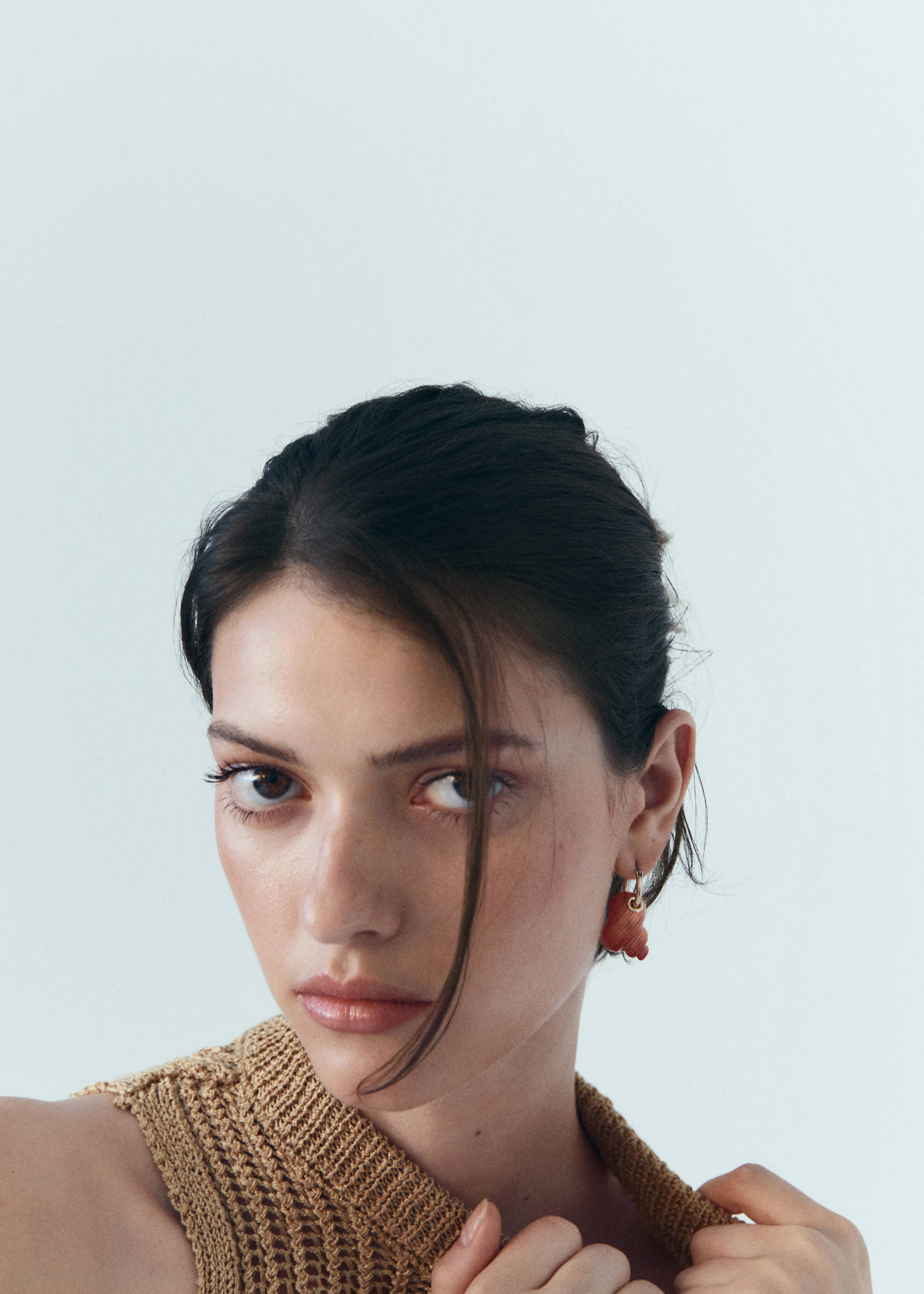 Shell earrings - General plane