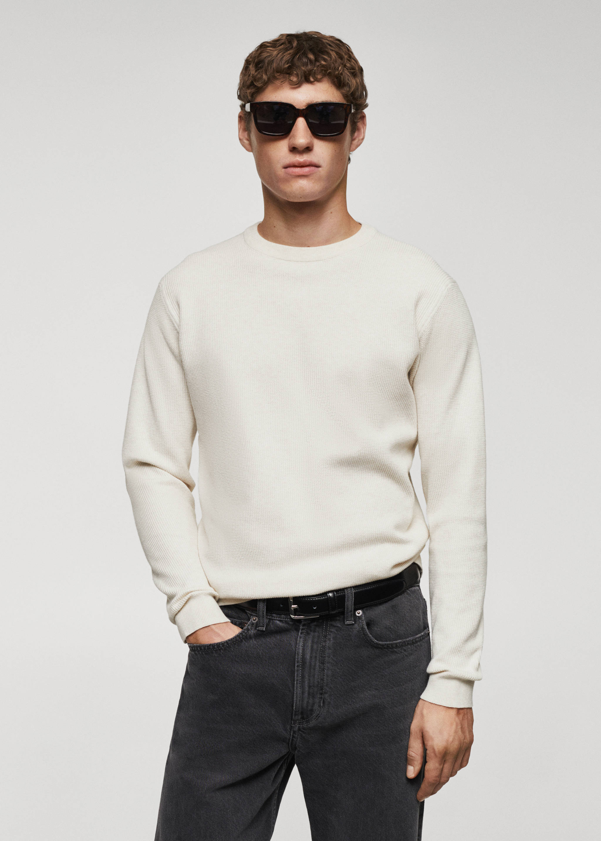 Structured cotton sweater - Medium plane