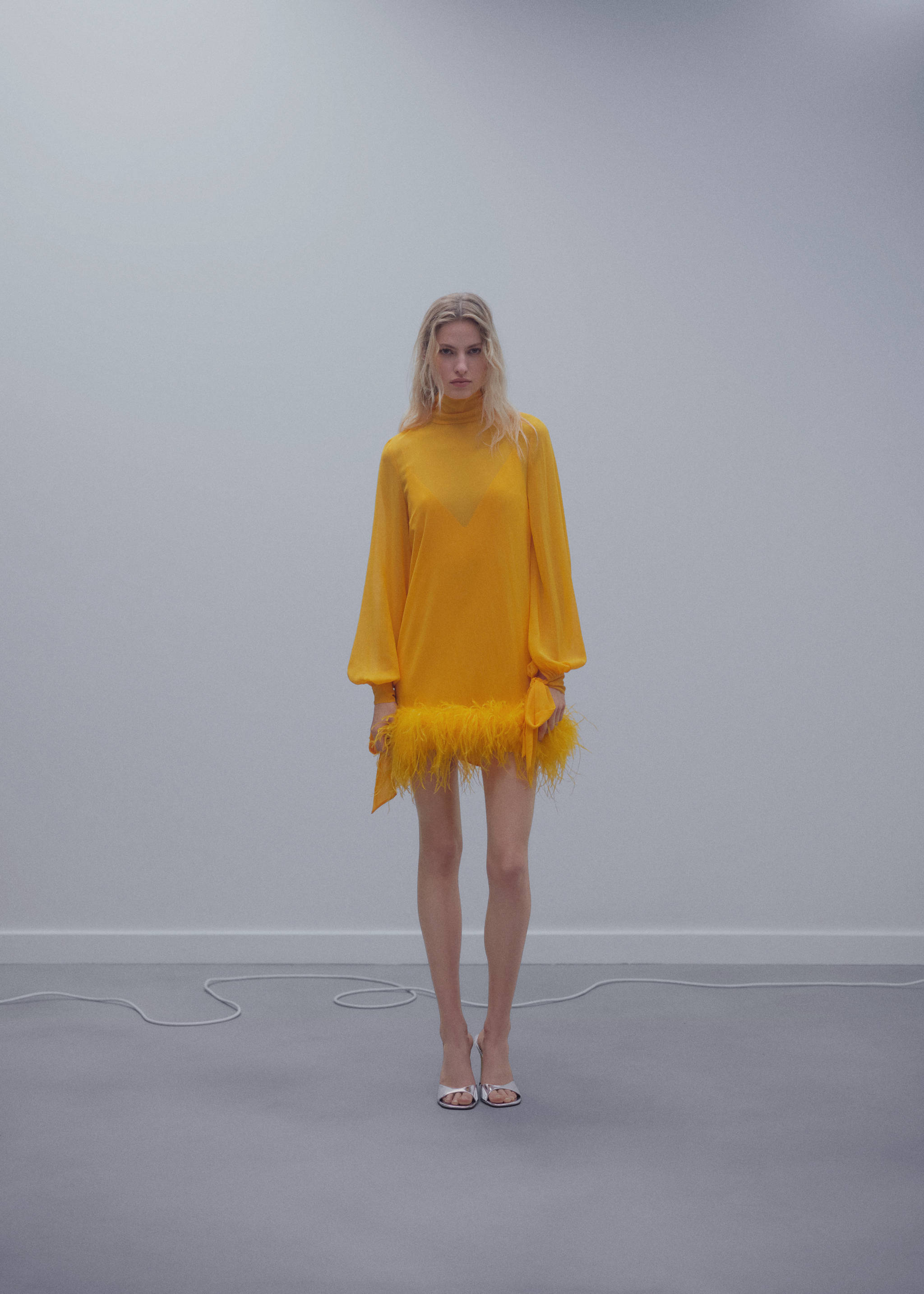 Semi-transparent feather dress - General plane