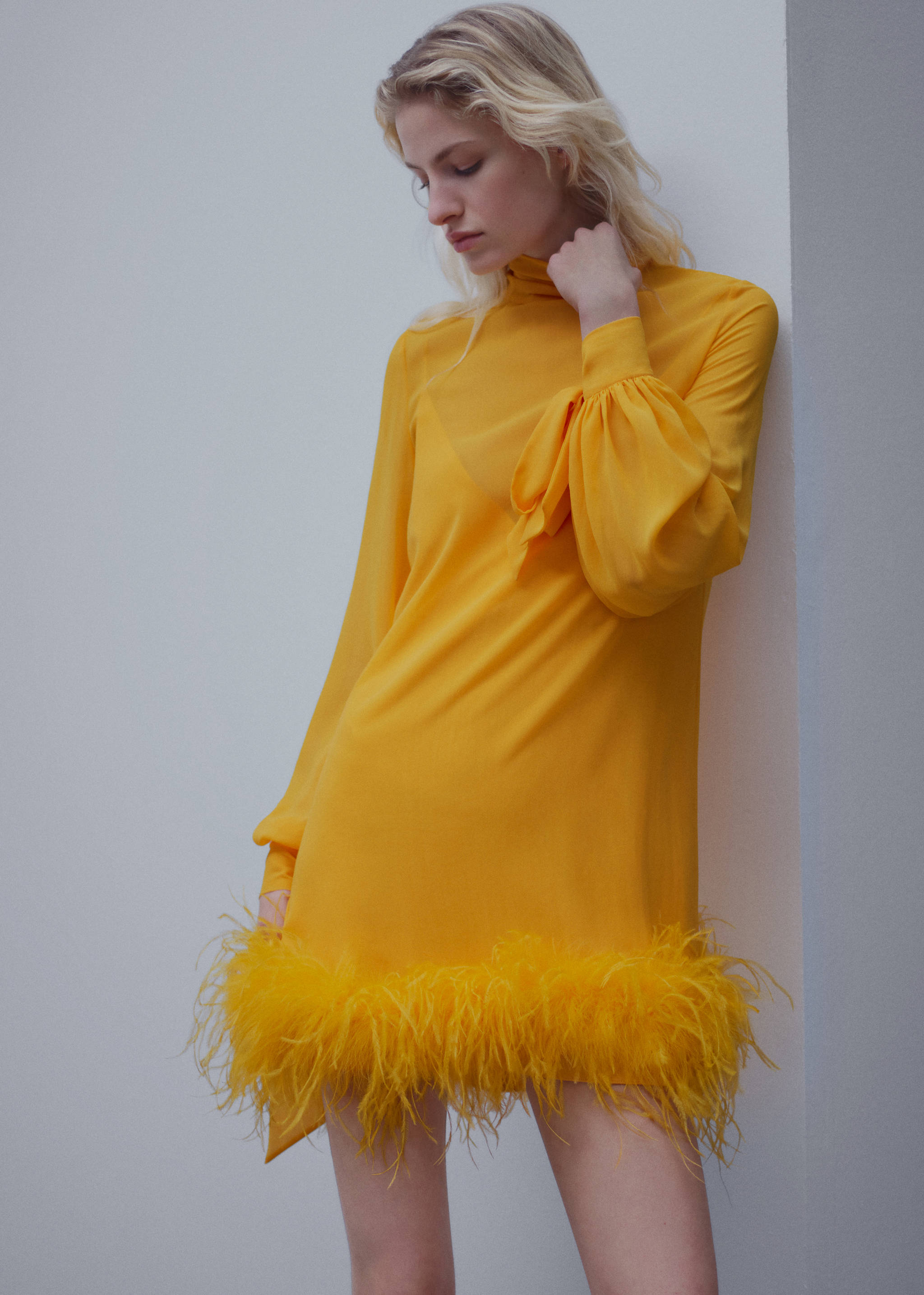 Semi-transparent feather dress - Medium plane