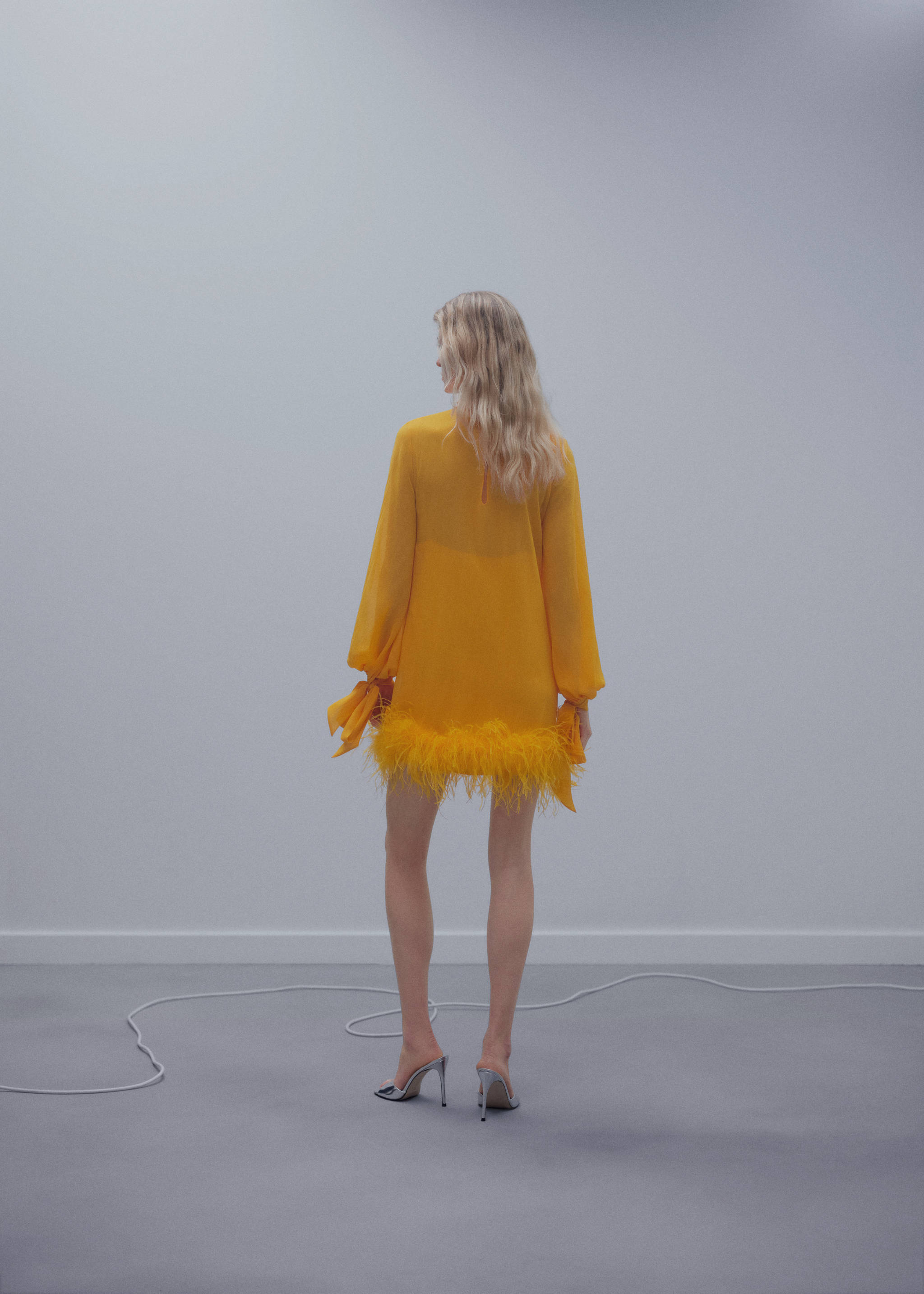 Semi-transparent feather dress - Reverse of the article