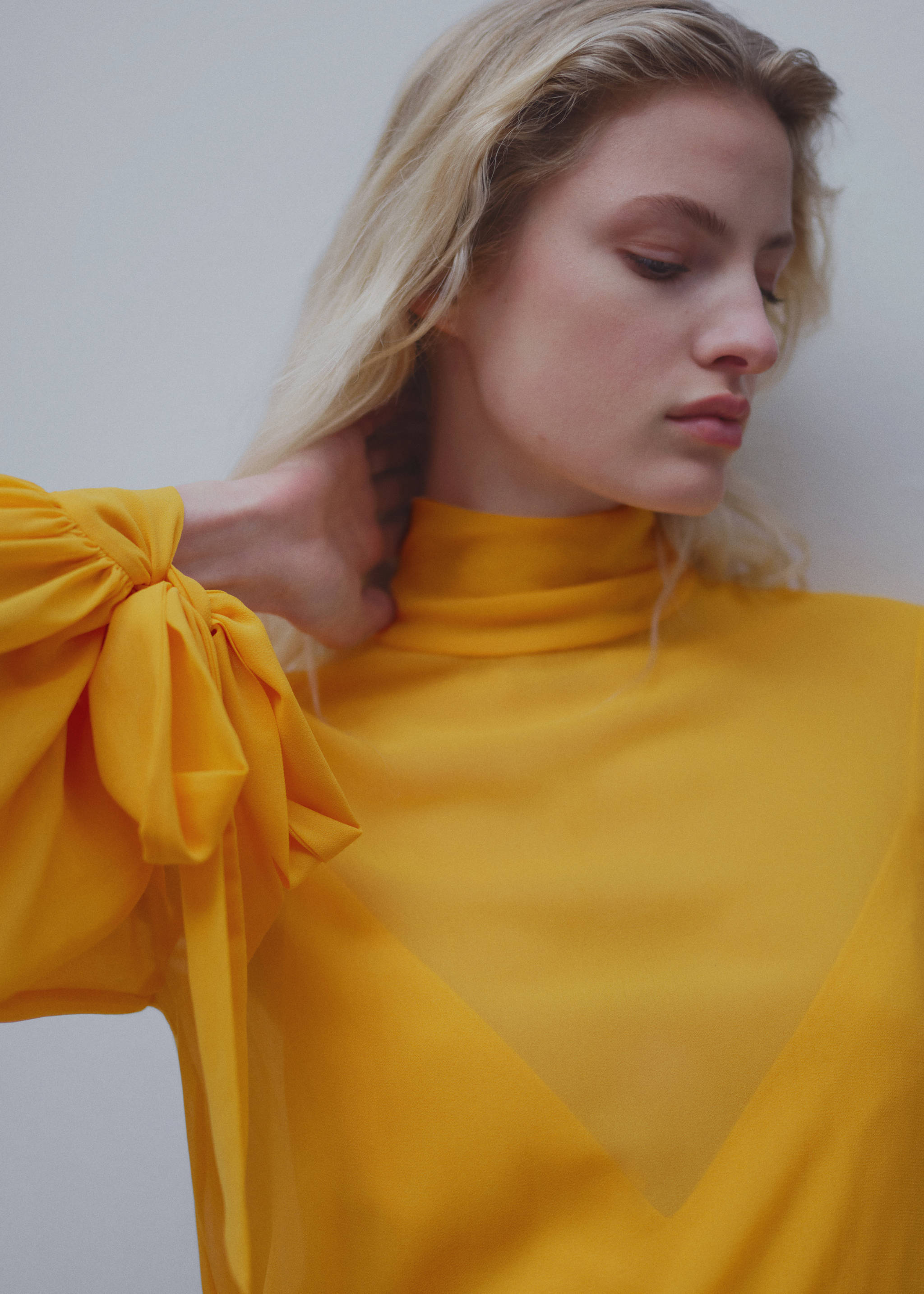 Semi-transparent feather dress - Details of the article 1