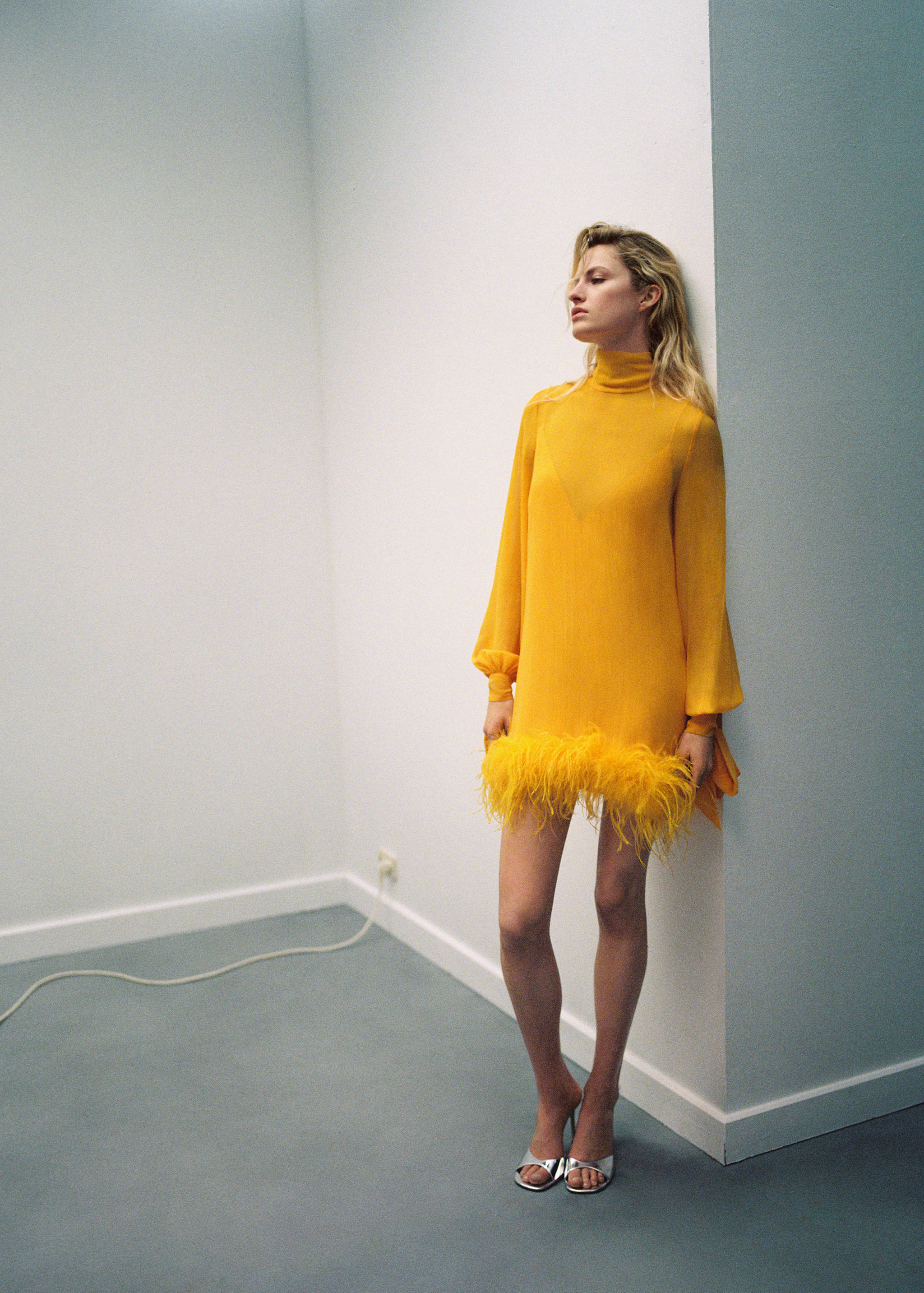 Semi-transparent feather dress - Details of the article 6