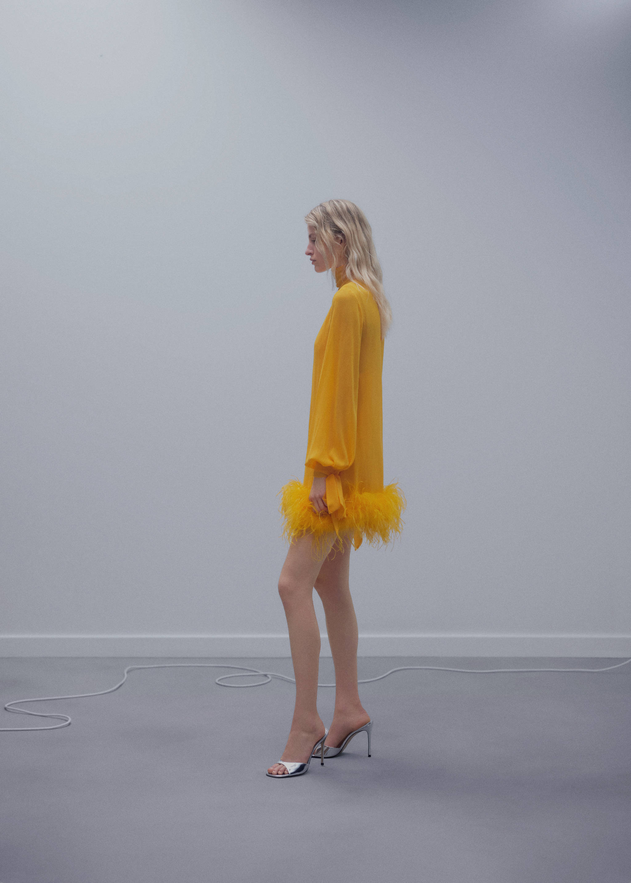 Semi-transparent feather dress - Details of the article 2