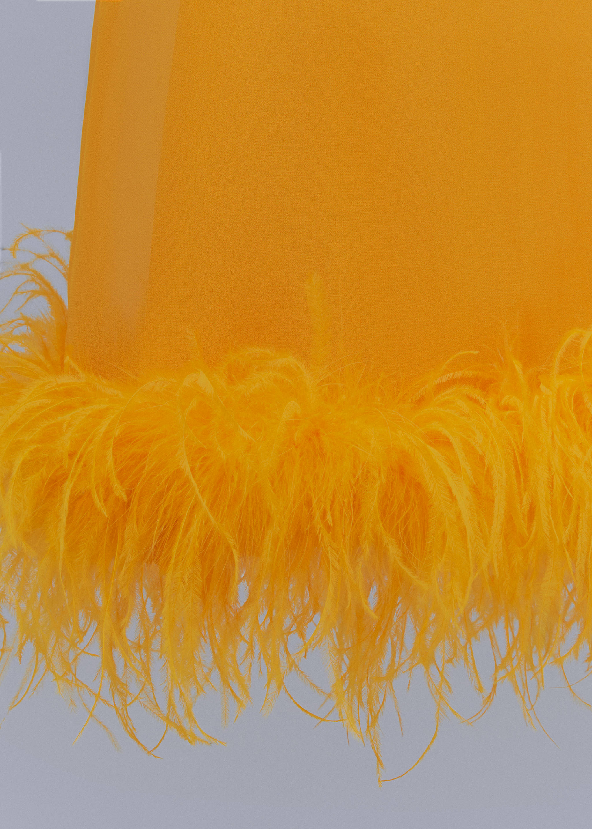 Semi-transparent feather dress - Details of the article 8