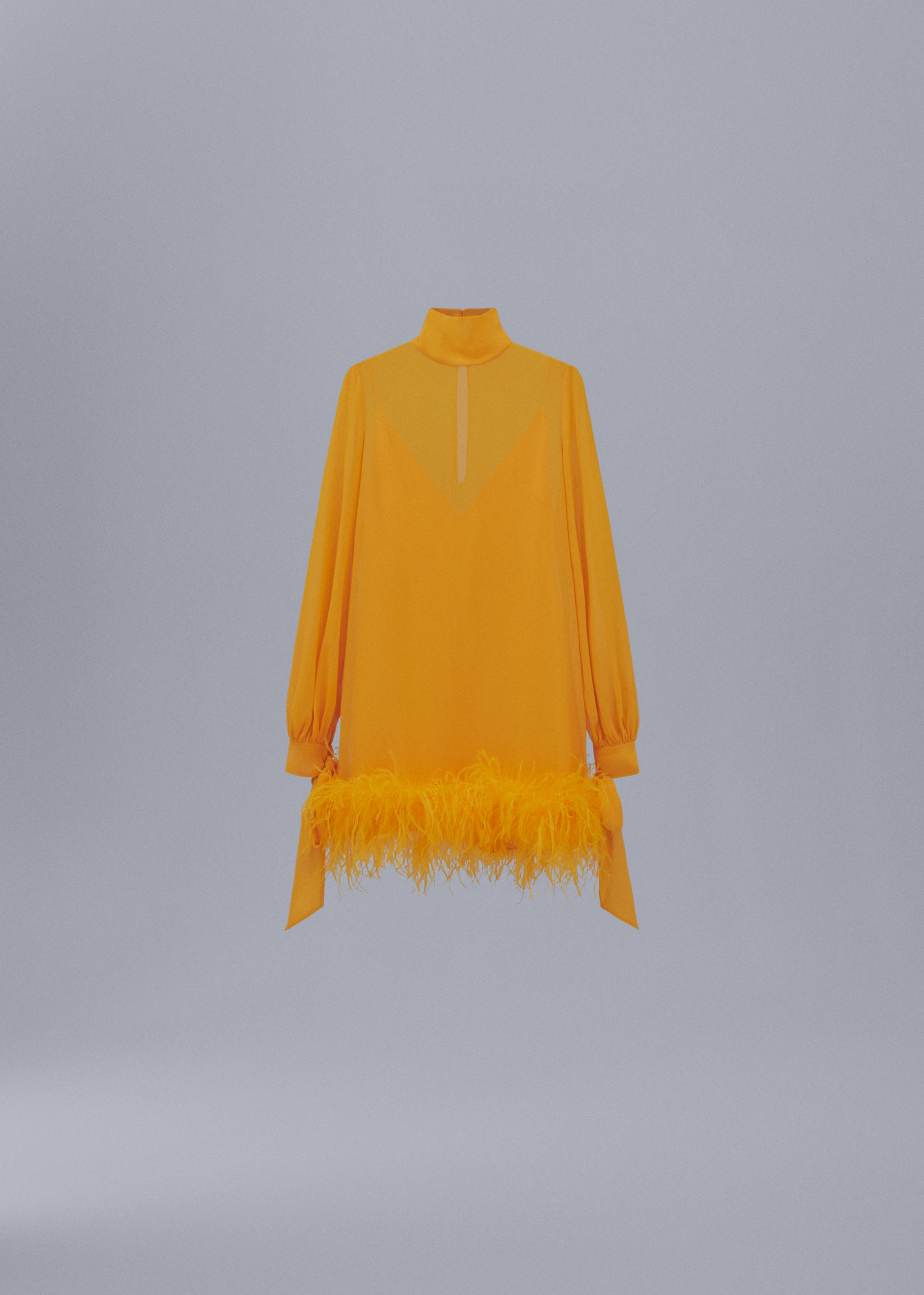 Semi-transparent feather dress - Article without model