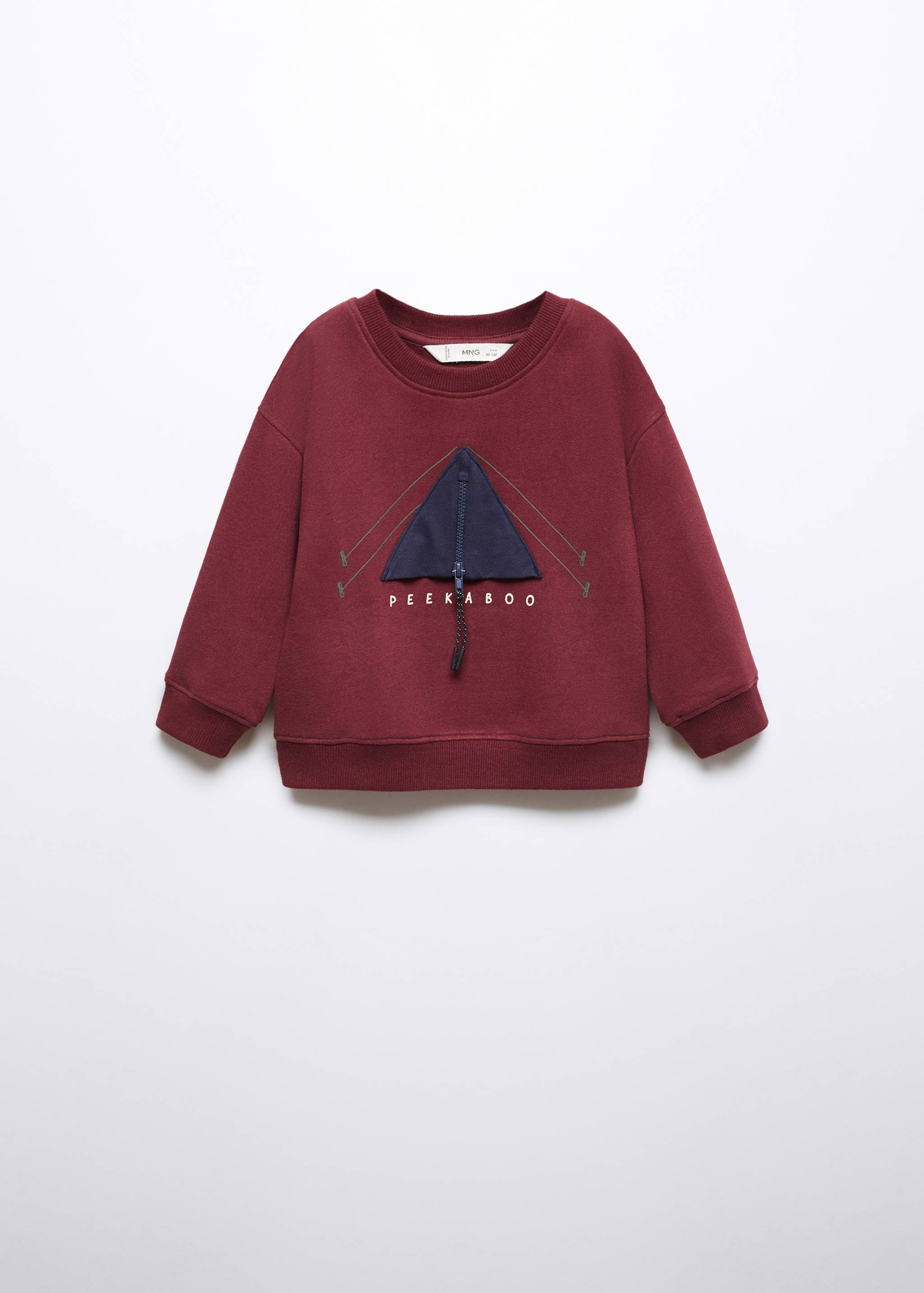 Printed picture sweatshirt - Article without model