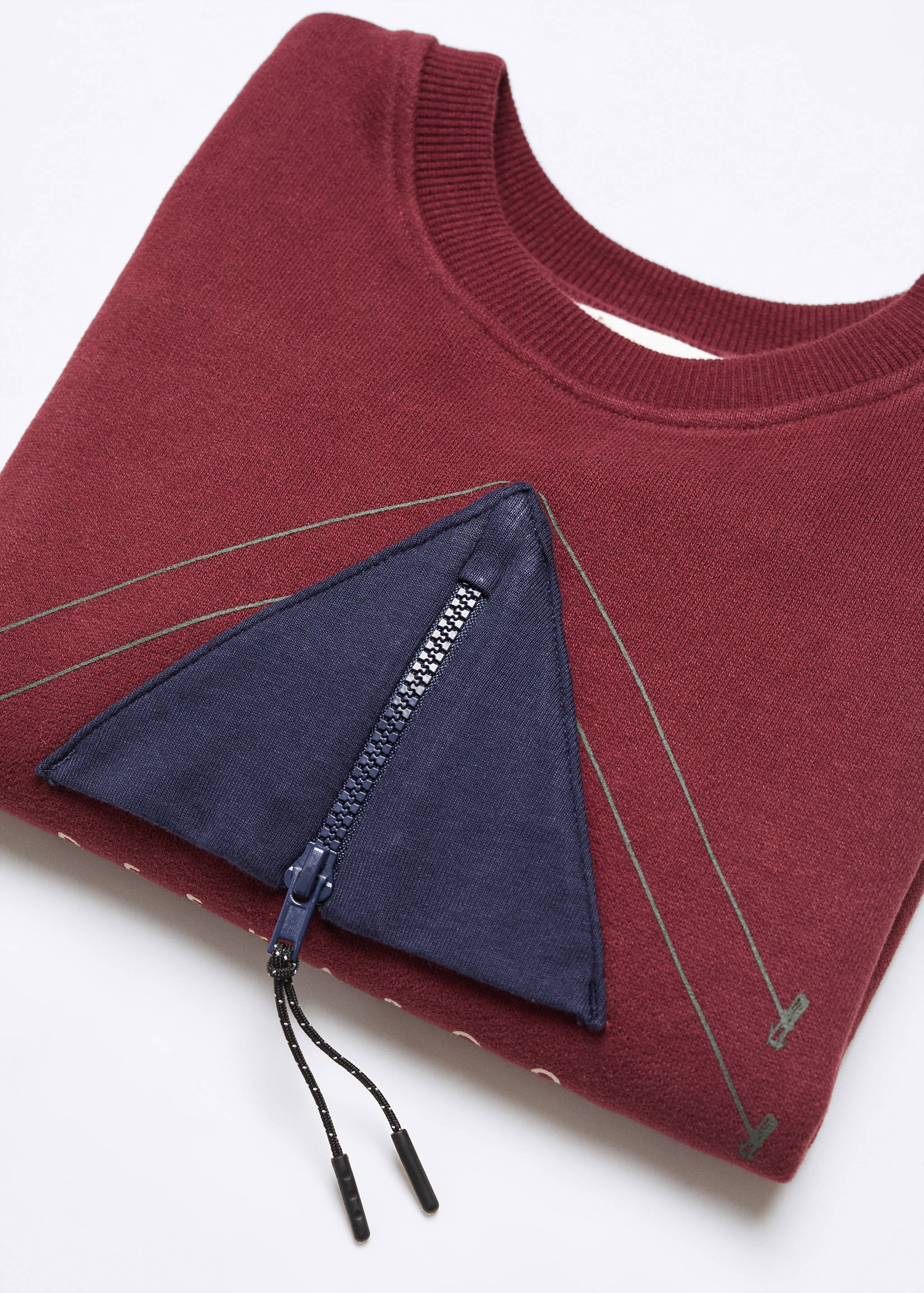 Printed picture sweatshirt - Details of the article 0