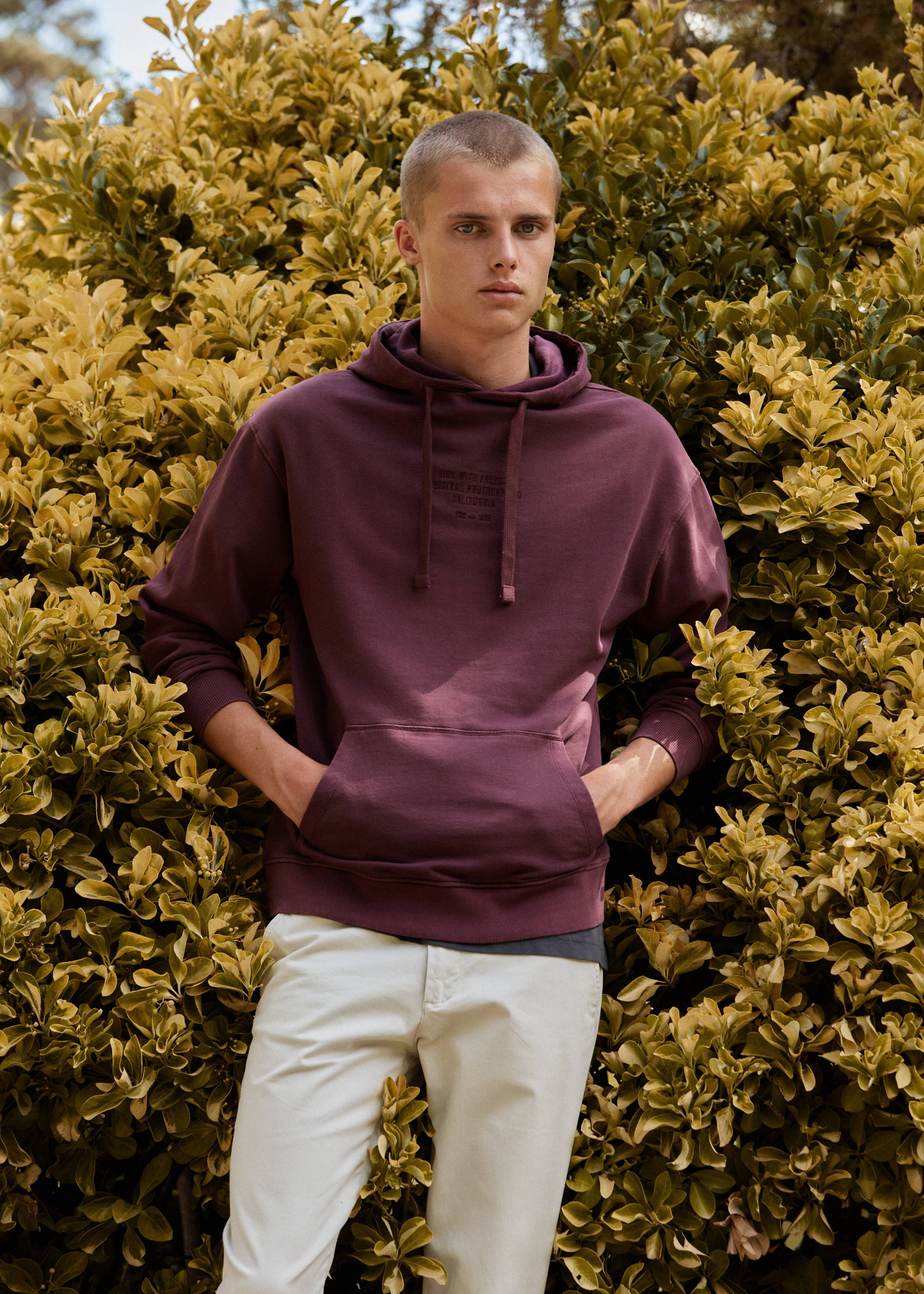 Printed message sweatshirt - Details of the article 5, Burgundy. Ref: 57054774-00.