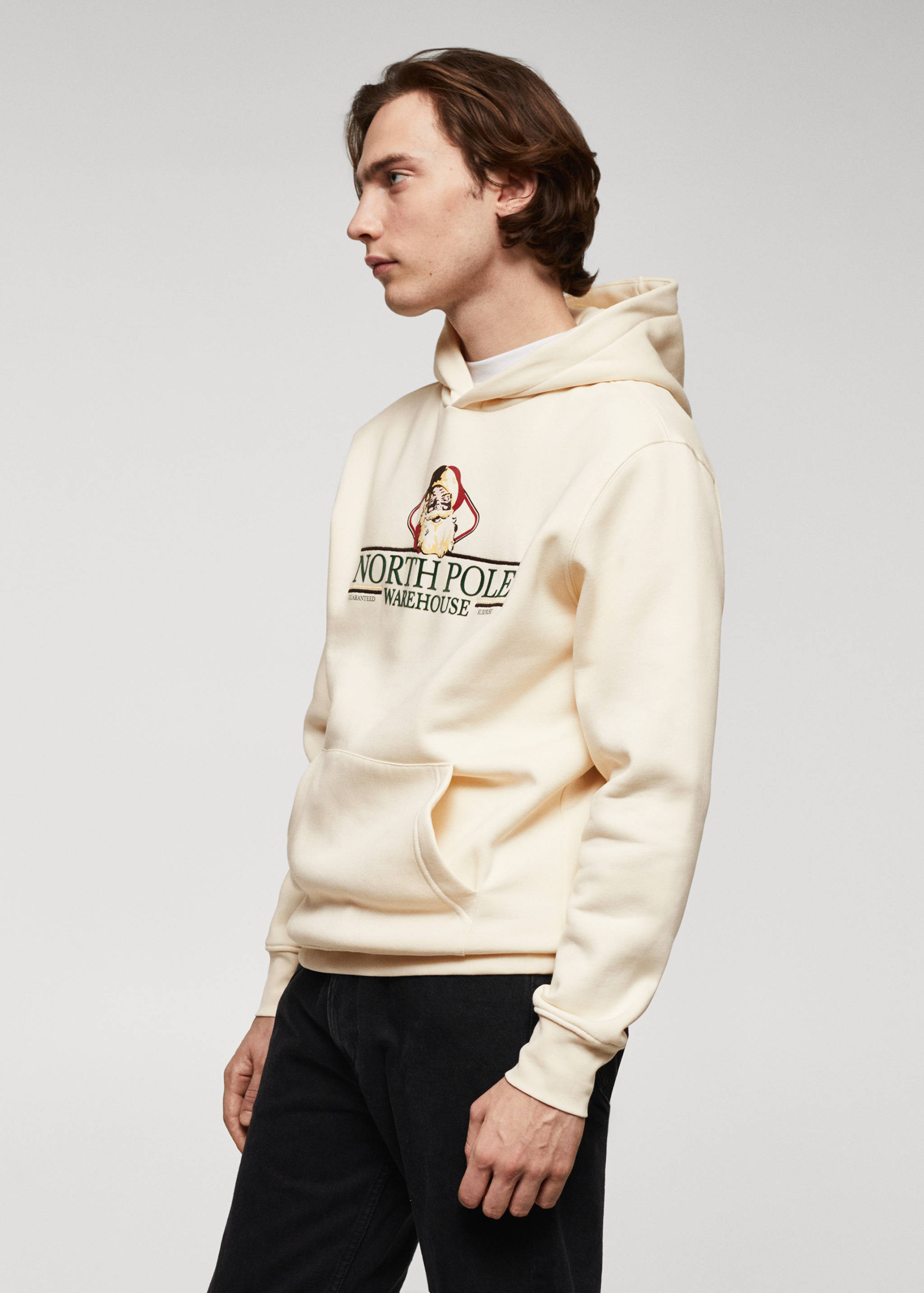 Sudadera estampada detalles terciopelo - Detalle del artículo 2