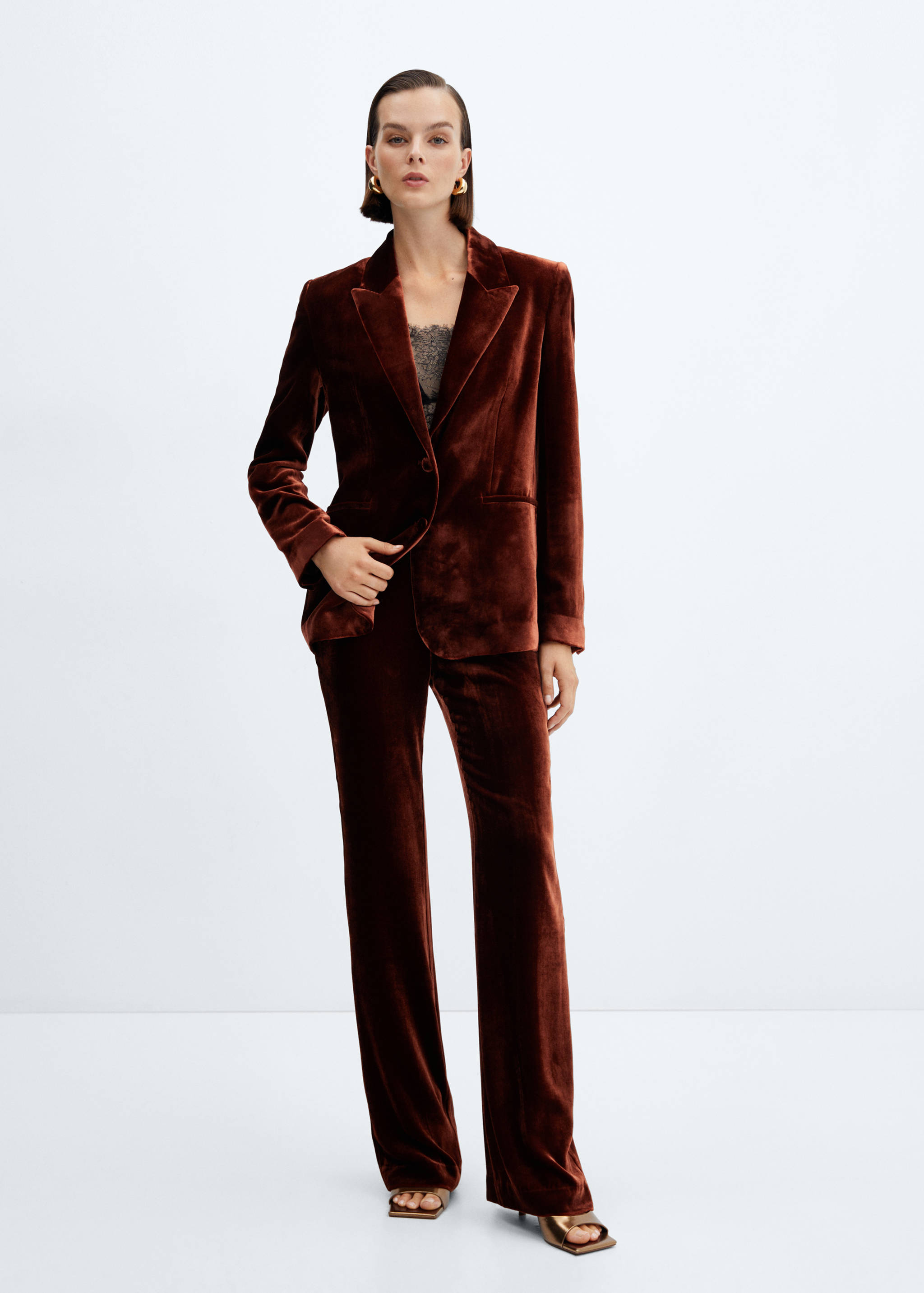 Velvet suit trousers - General plane