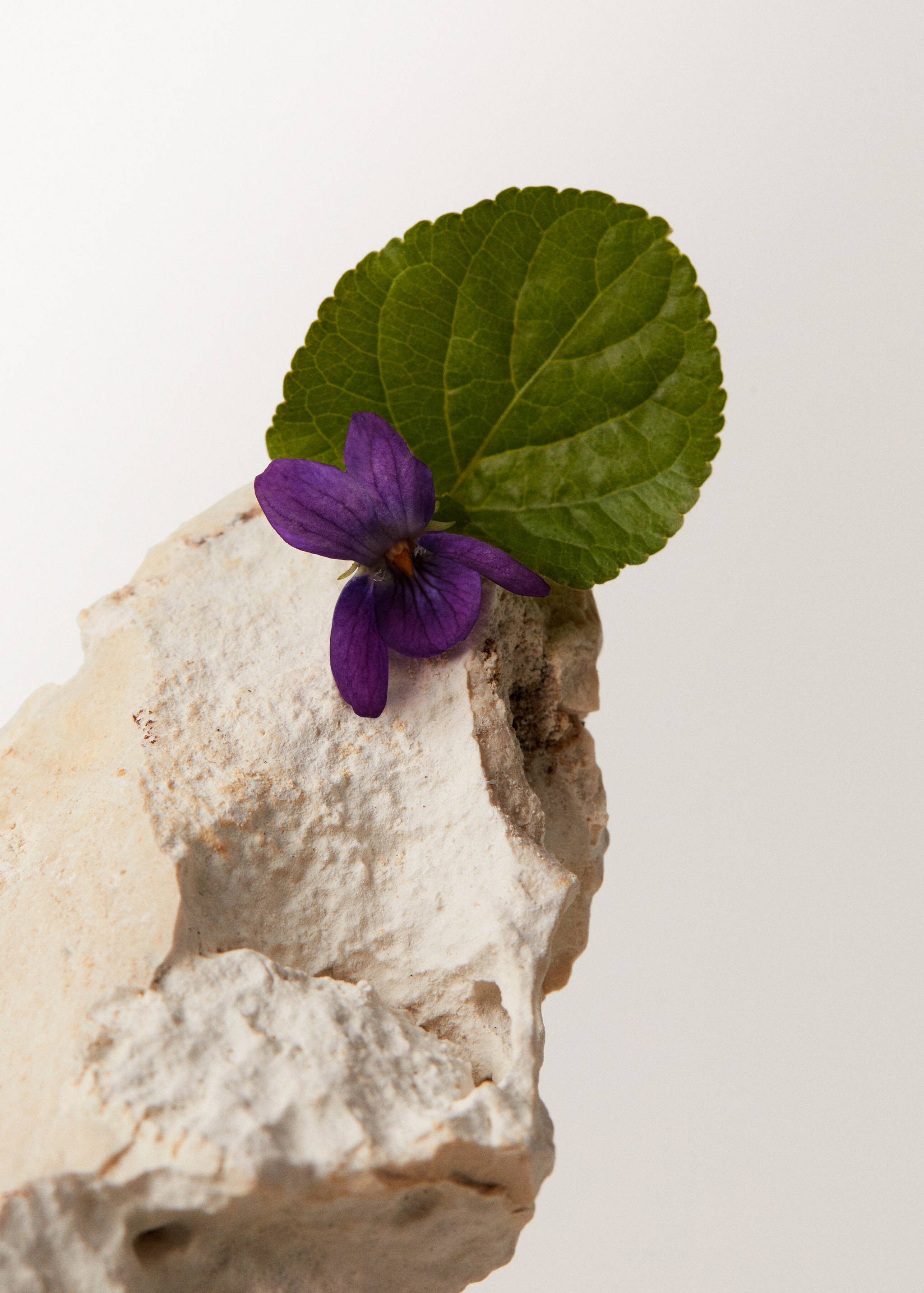 Parfum Près du Soleil 100 ml - Détail de l'article 2