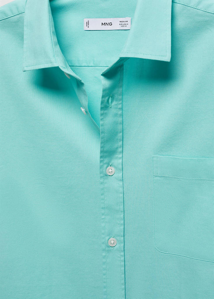 Regular fit Oxford cotton shirt — Aqua Green