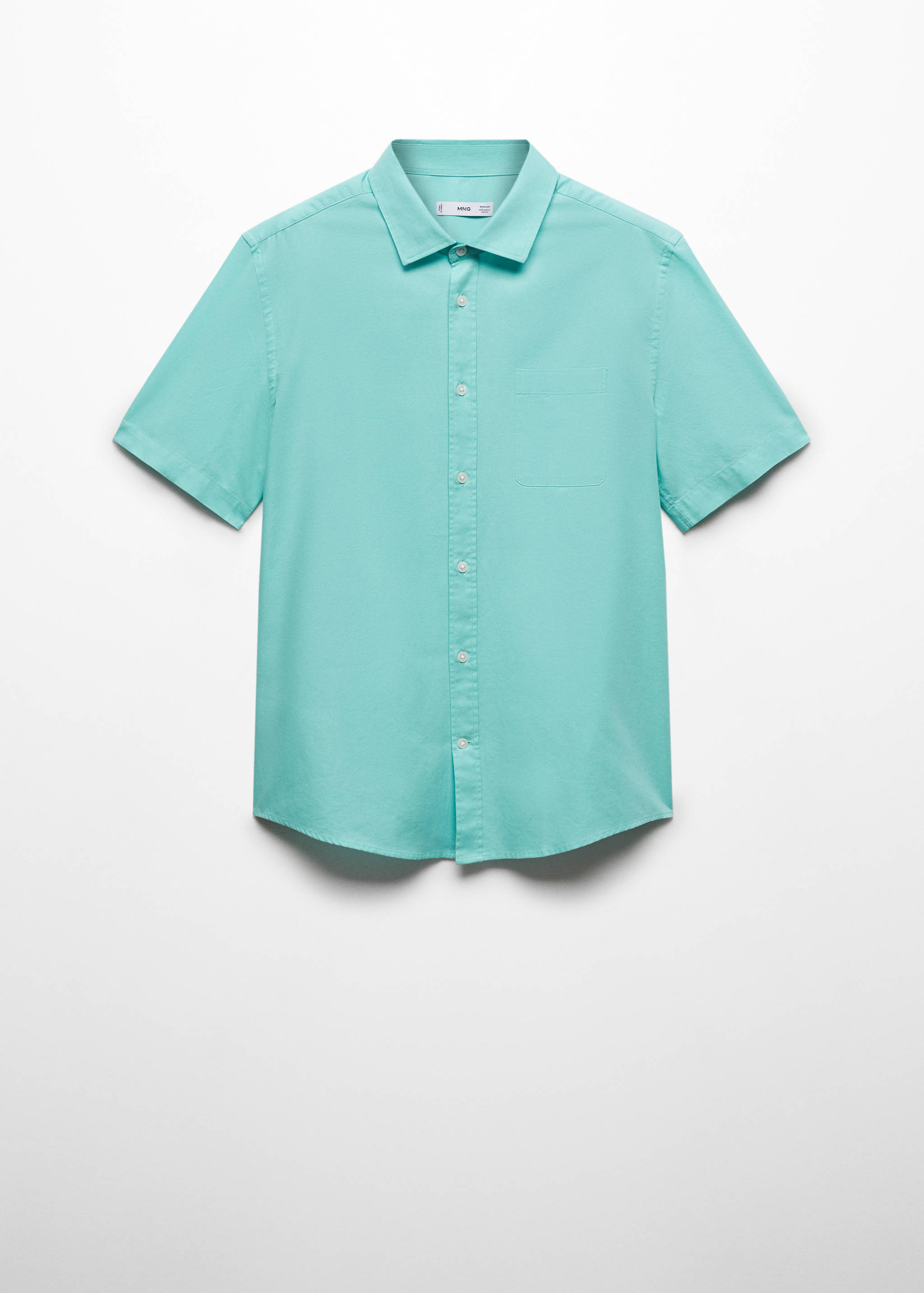 Regular fit Oxford cotton shirt - Article without model